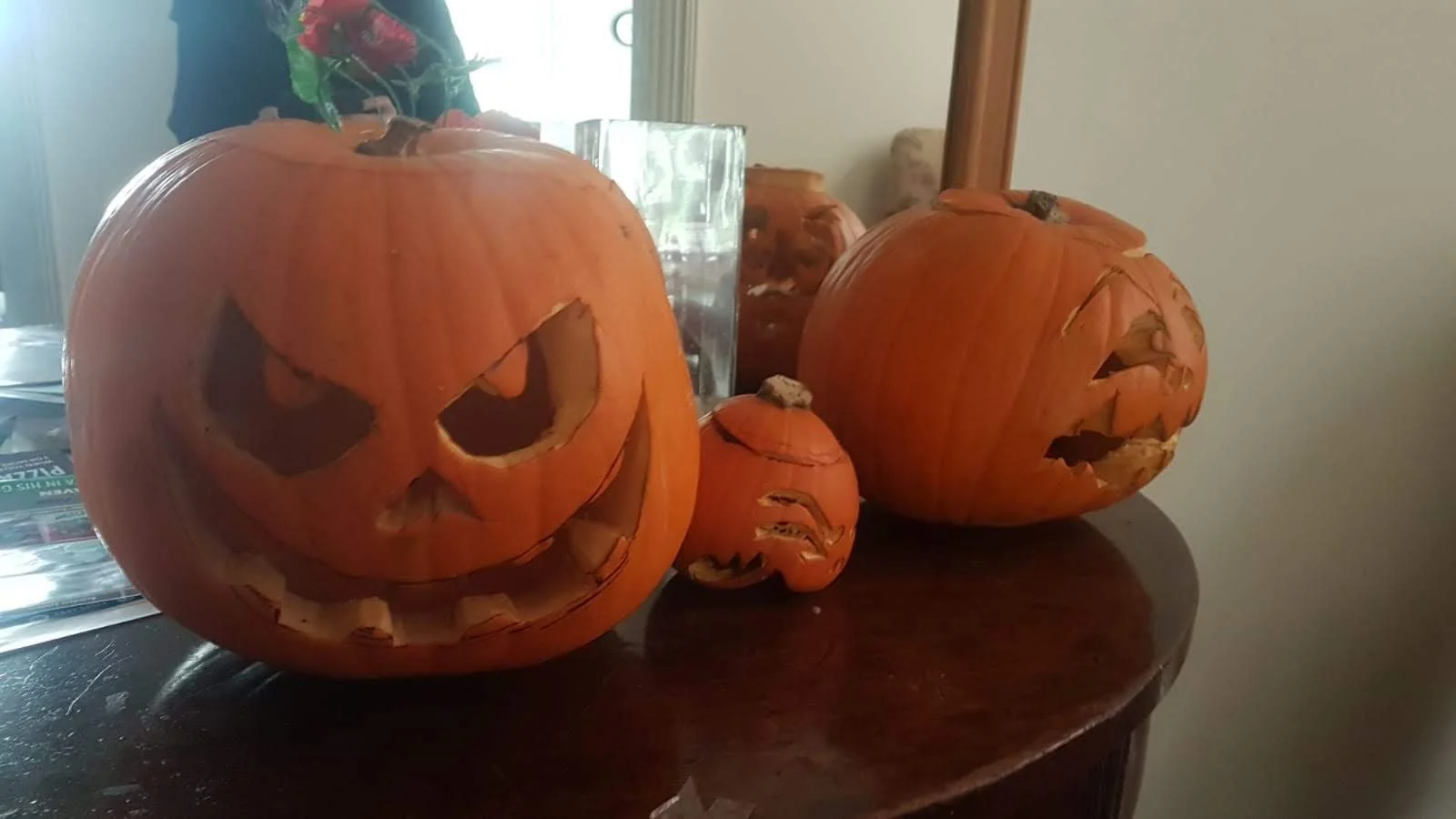 IMG-20181030-WA0002.jpg