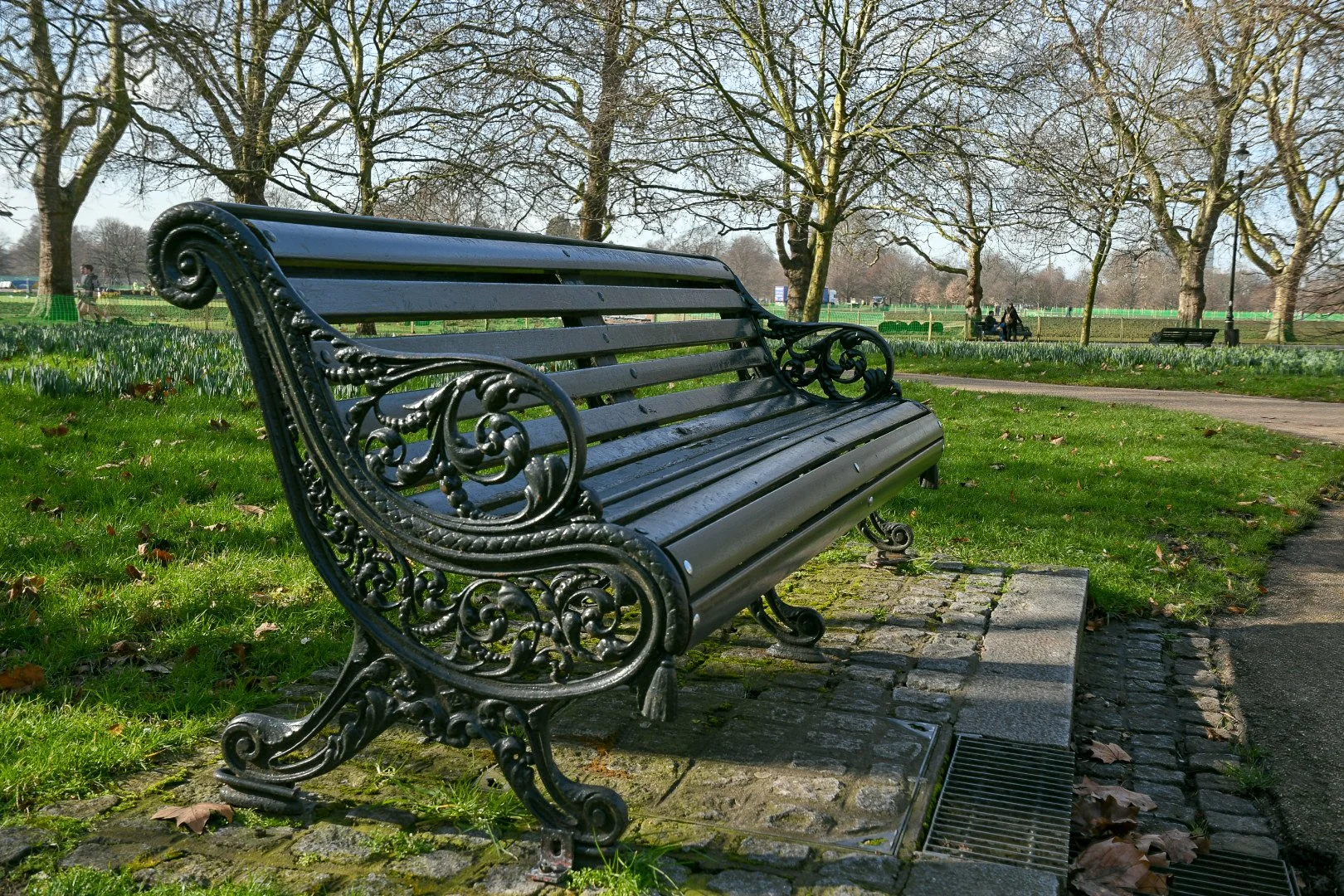 DSC_0132.jpg