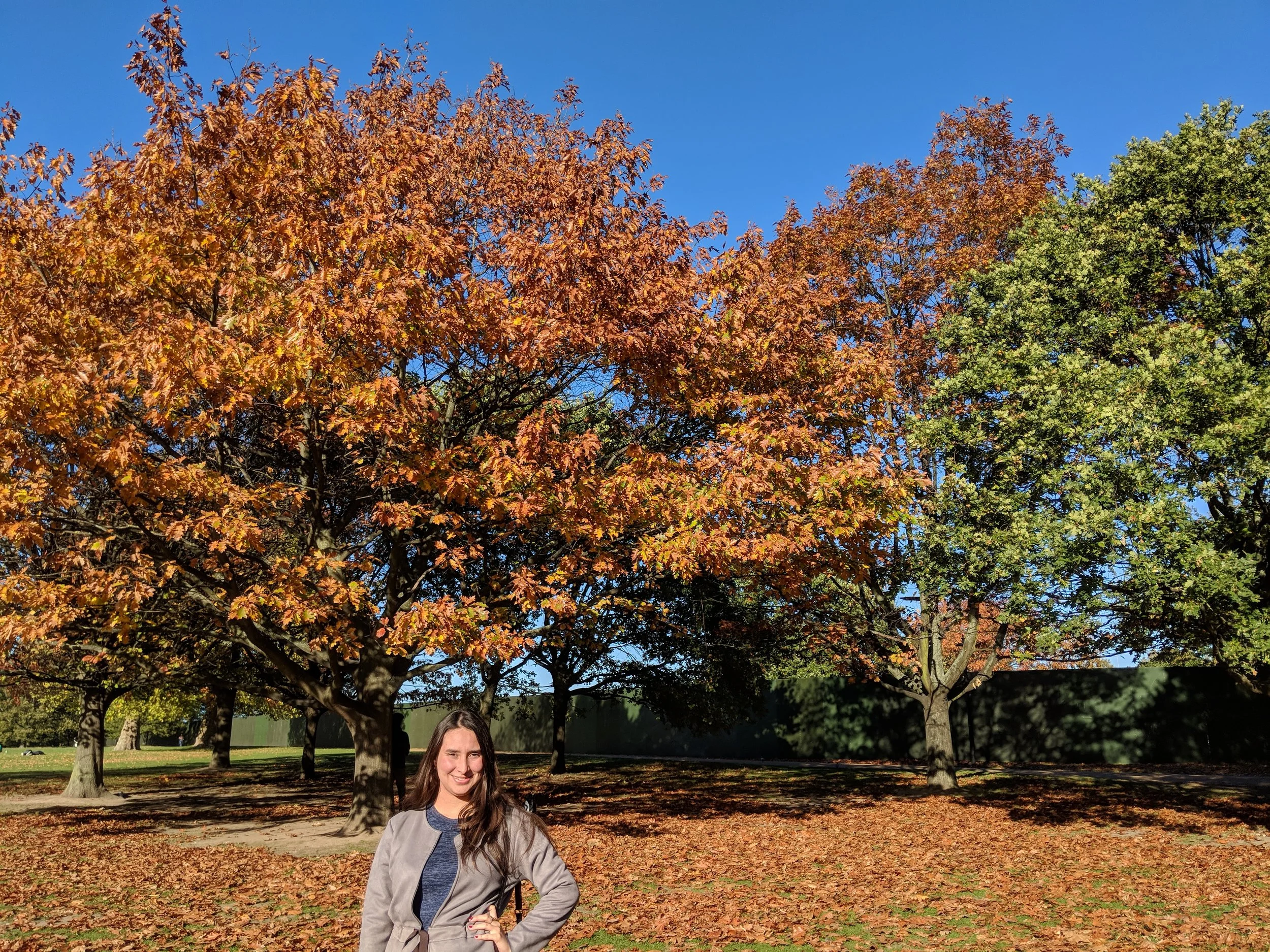 IMG_20181022_150424.jpg