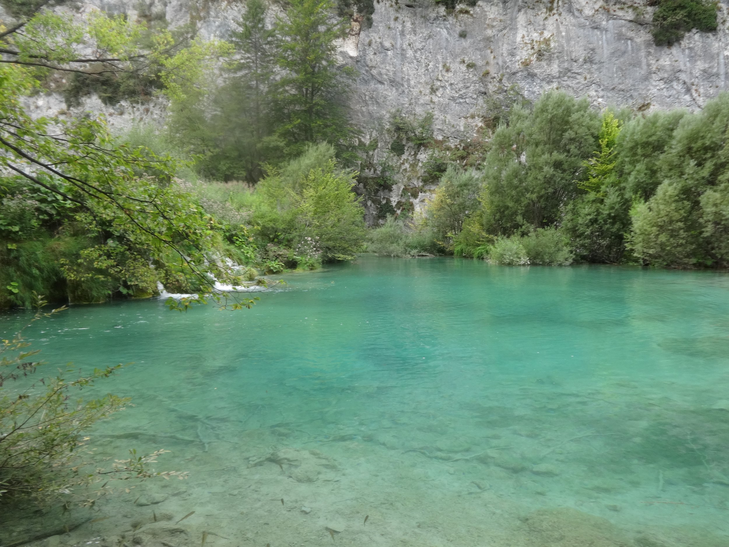 A river with turquoise water flowing between lush green trees and a rocky cliff in the background
