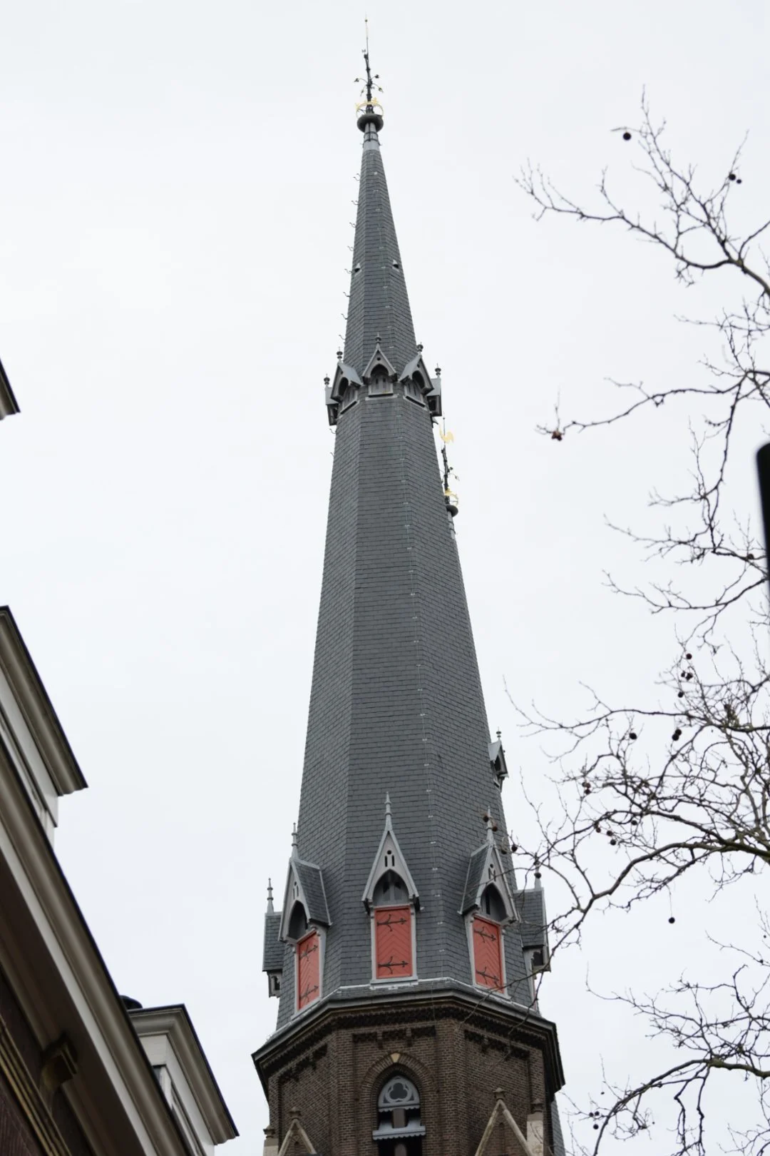 DSC_0093.JPG