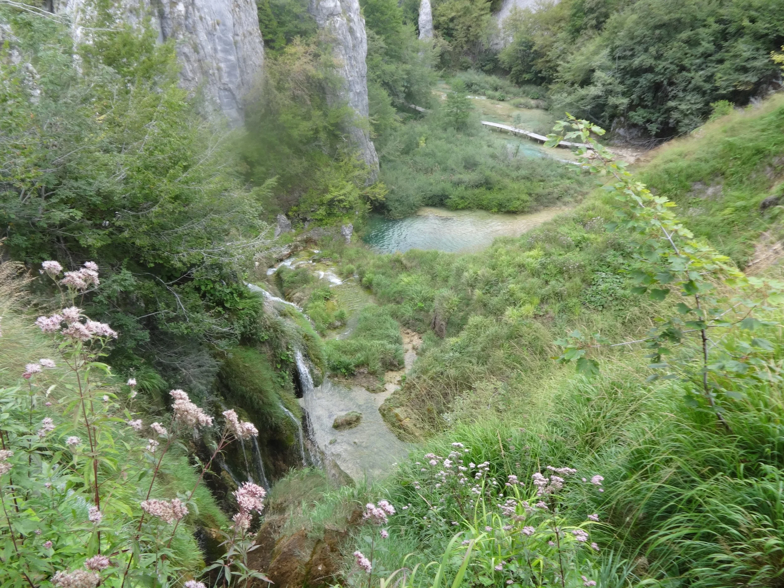 A lush green landscape with a small waterfall flowing into a pond, surrounded by dense trees and plants.