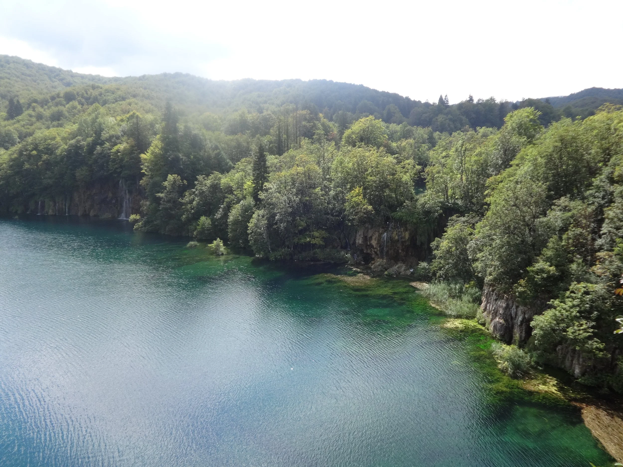 A scenic view of a lake with clear blue water, surrounded by lush green trees and forested hills in the background.