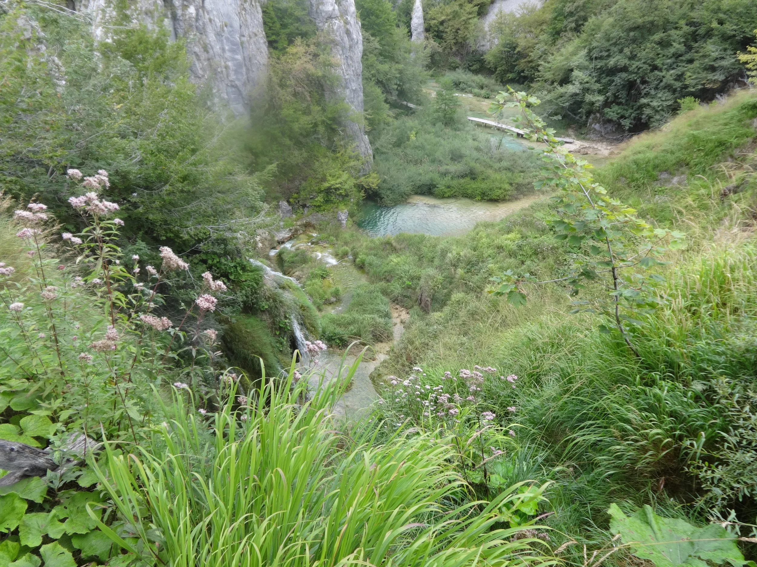 A lush green landscape featuring a small waterfall flowing into a pond, surrounded by dense trees and flowering plants, with rocky cliffs in the background.