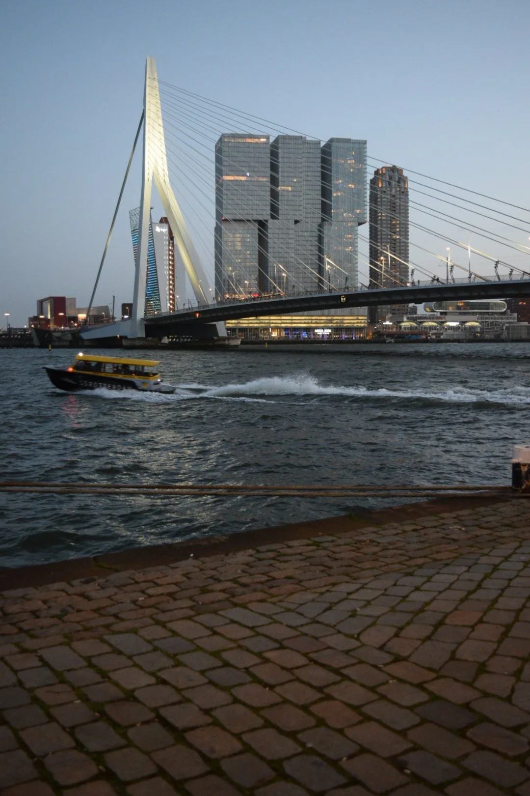 DSC_0113.JPG