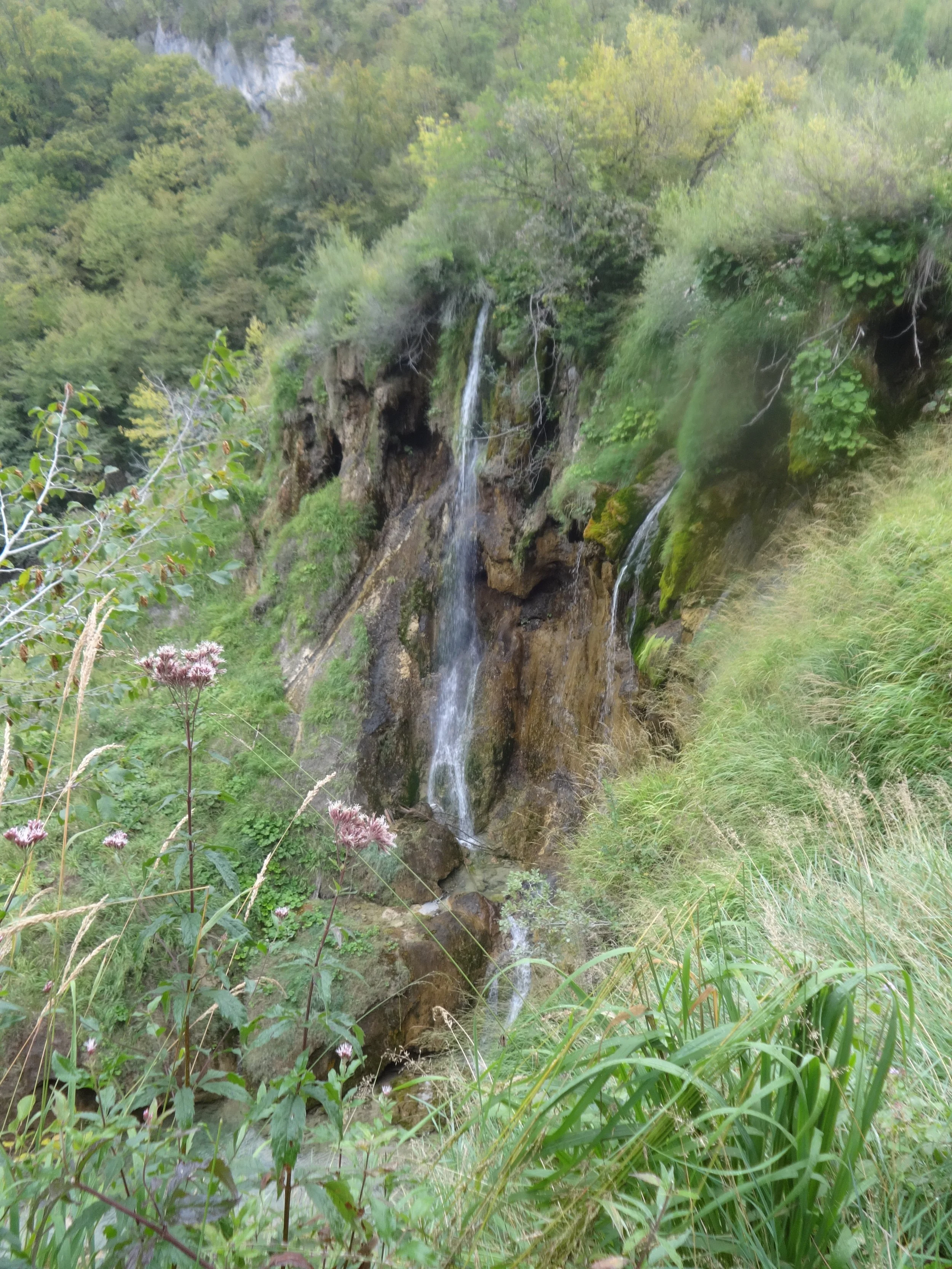 A small waterfall flowing over rocky terrain surrounded by lush green trees and grass.