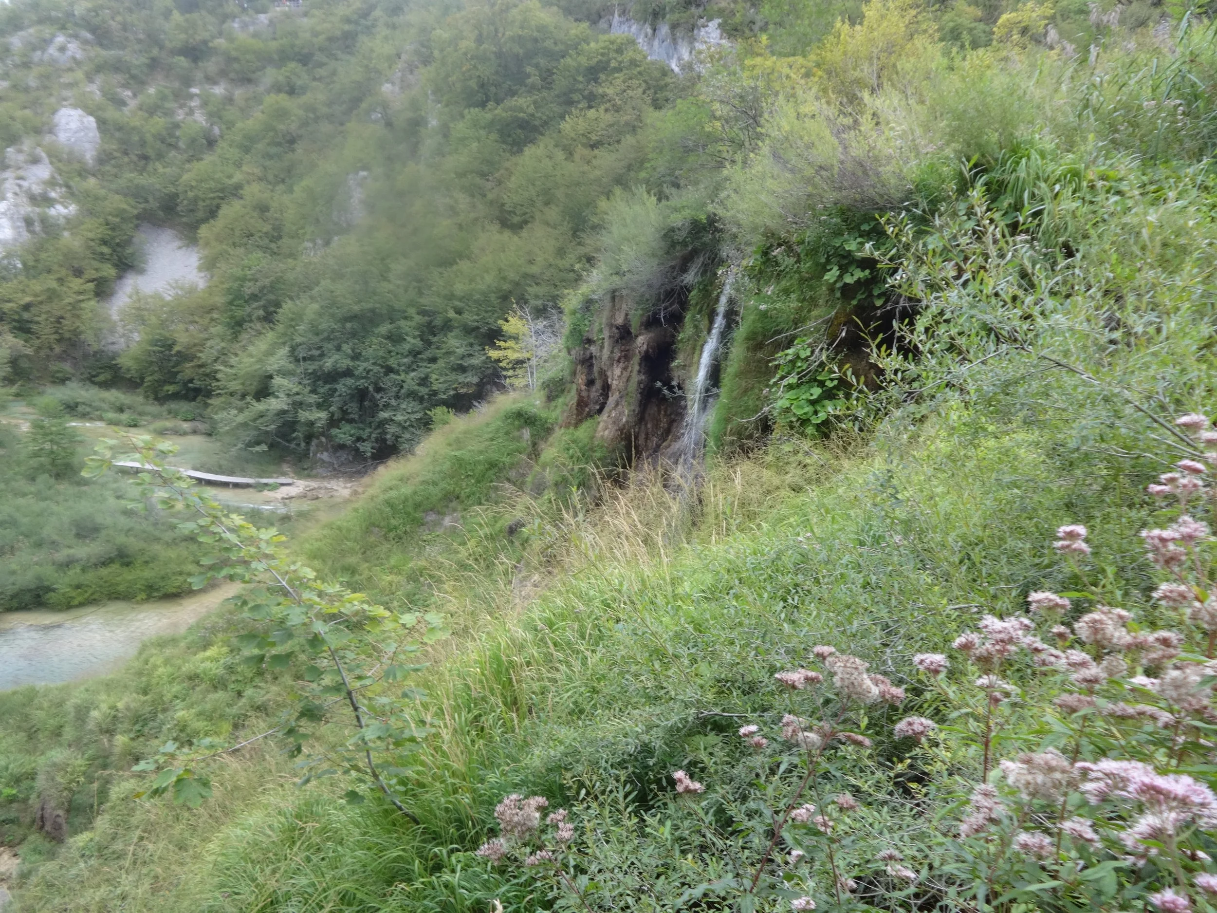 A lush green hillside with trees, rocks, and a small waterfall flowing down the rocks, near a calm river or stream at the bottom.