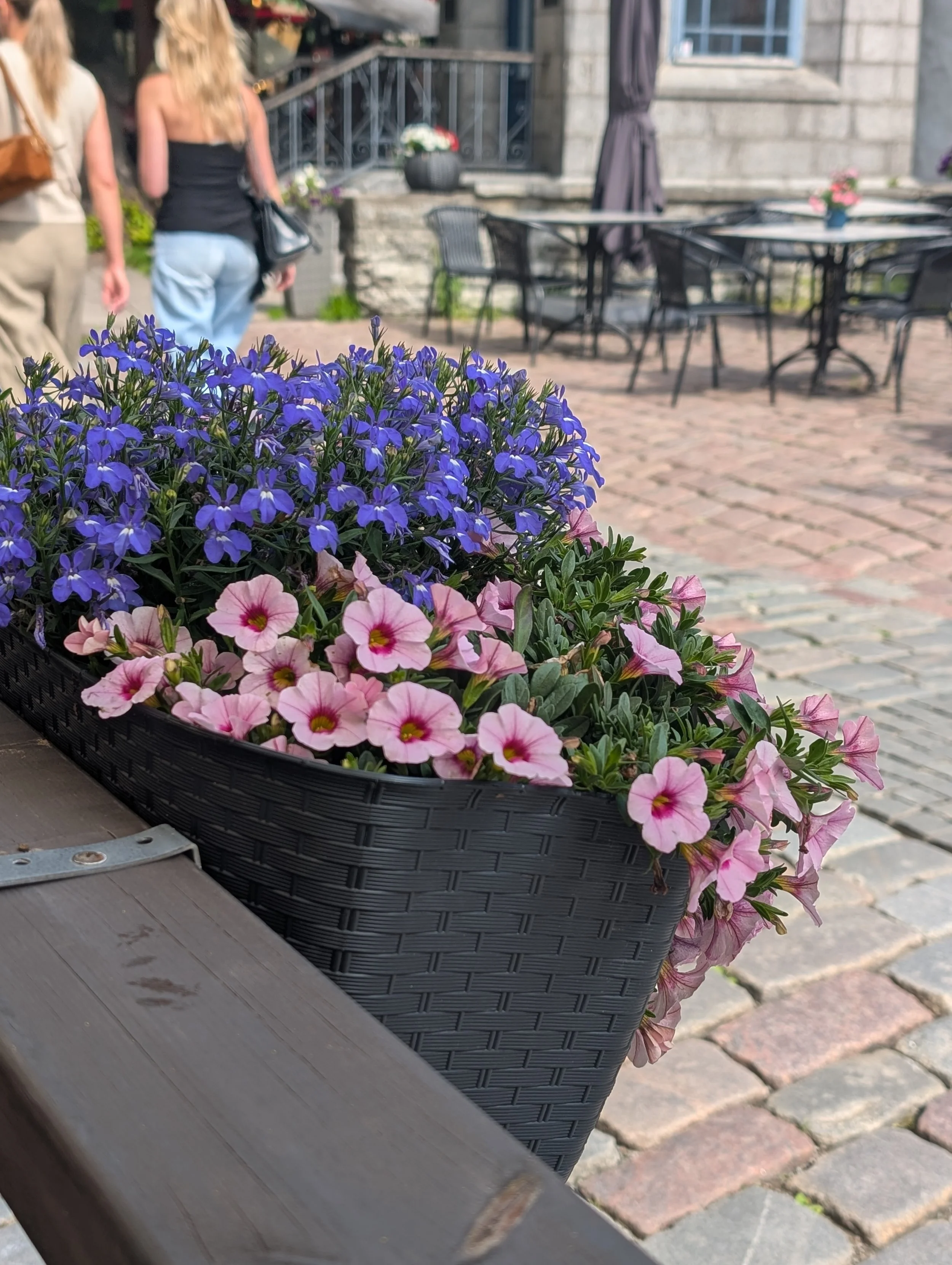 Close-up of a black flower basket containing purple and pink petunias, placed on a wooden surface outdoors, with a blurred background of a cobblestone street, outdoor furniture, and two people walking.