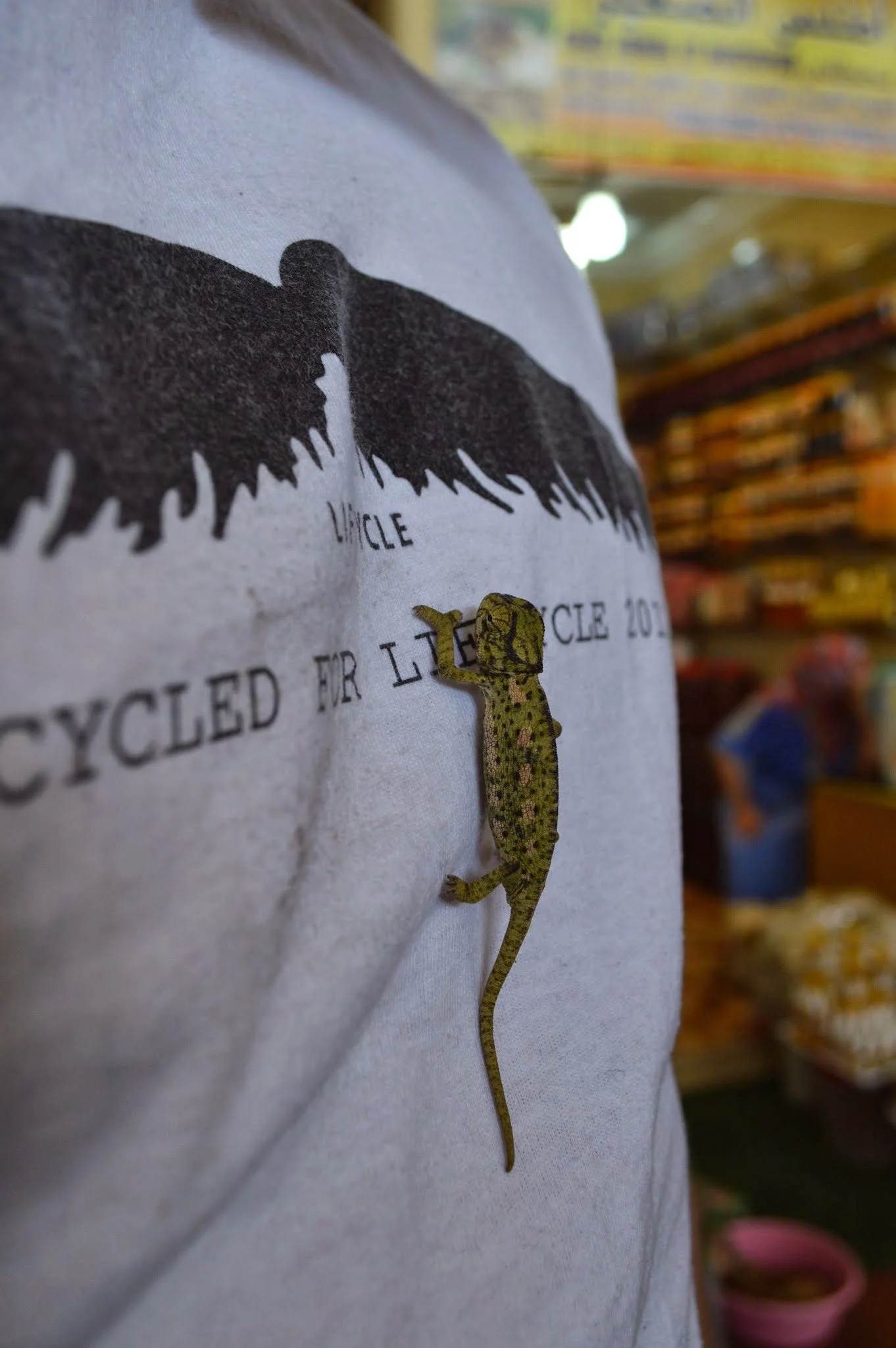 Close-up of a white T-shirt with a dinosaur graphic and the words 'recycled her little'. The background appears to be a store aisle with colorful items on shelves.