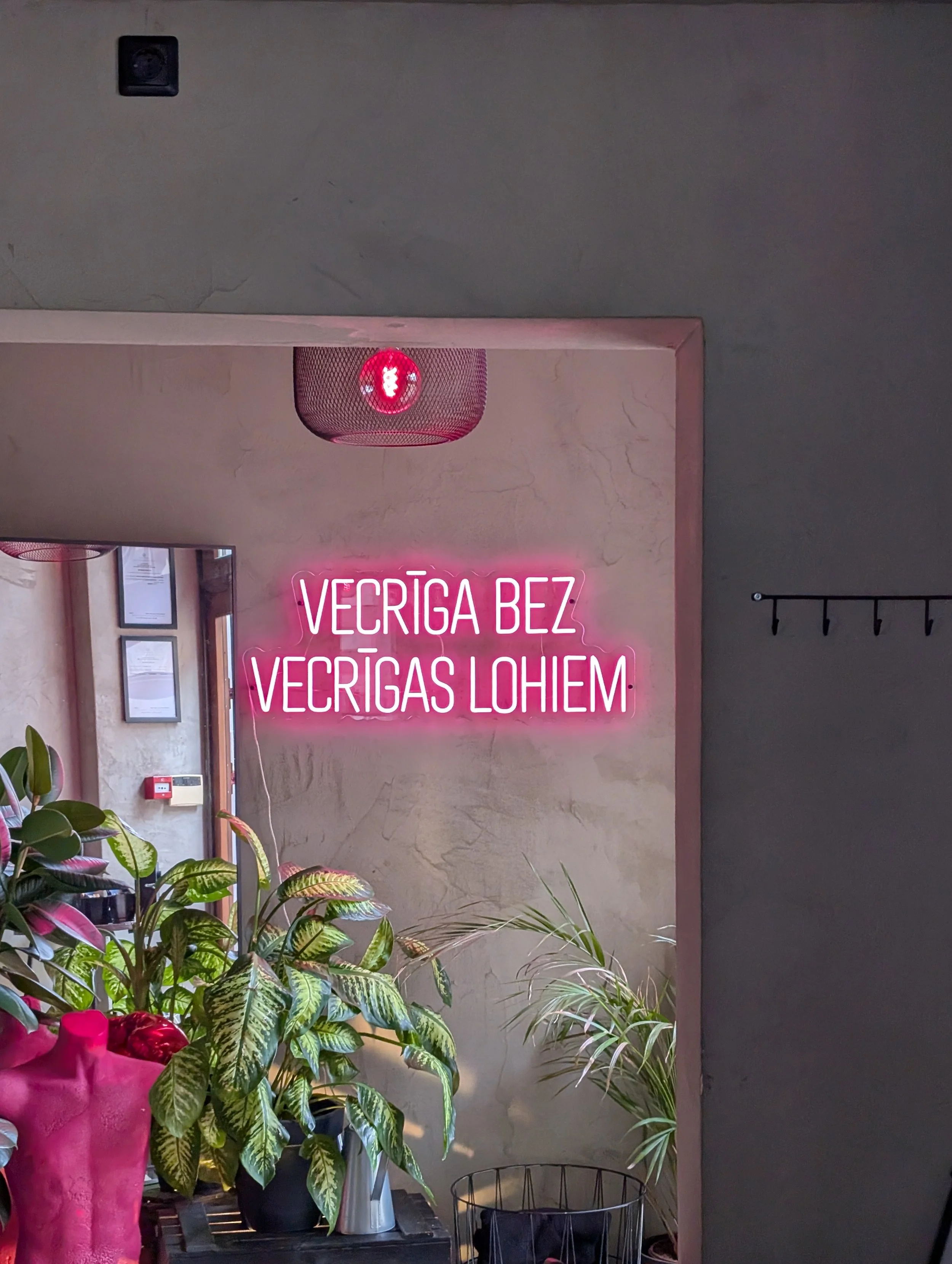 Pink potted plant with red flowers and green leaves in the foreground, lush green plants with variegated leaves and a black wire basket in the background, a wall with framed pictures, a mirror, and a neon sign that reads 'VÉRÍGA BEZ VÉRIGA LOIEM' in 