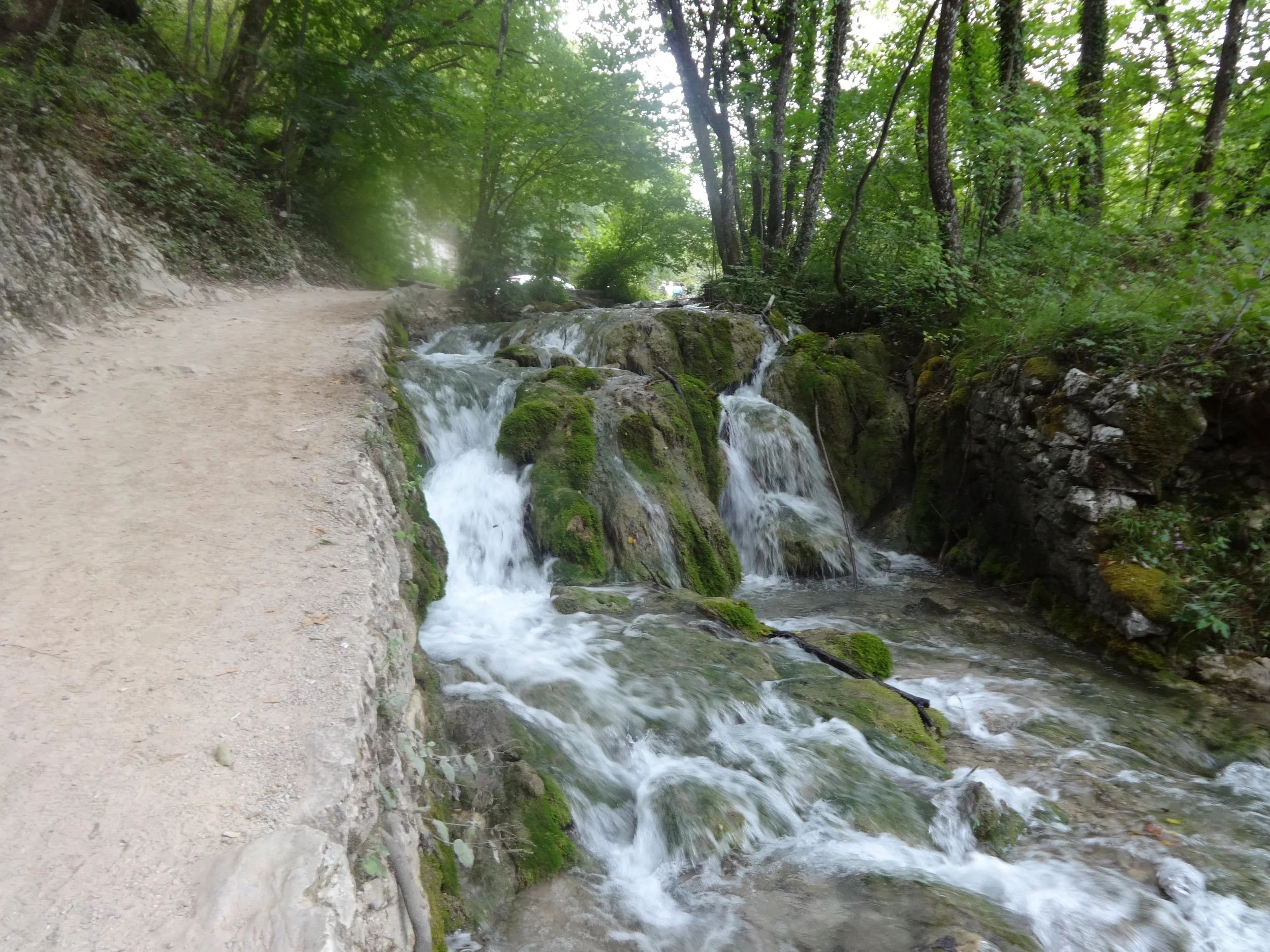 A creek flowing through a forest with a dirt trail on the left side, lush green trees and rocks covered in moss.