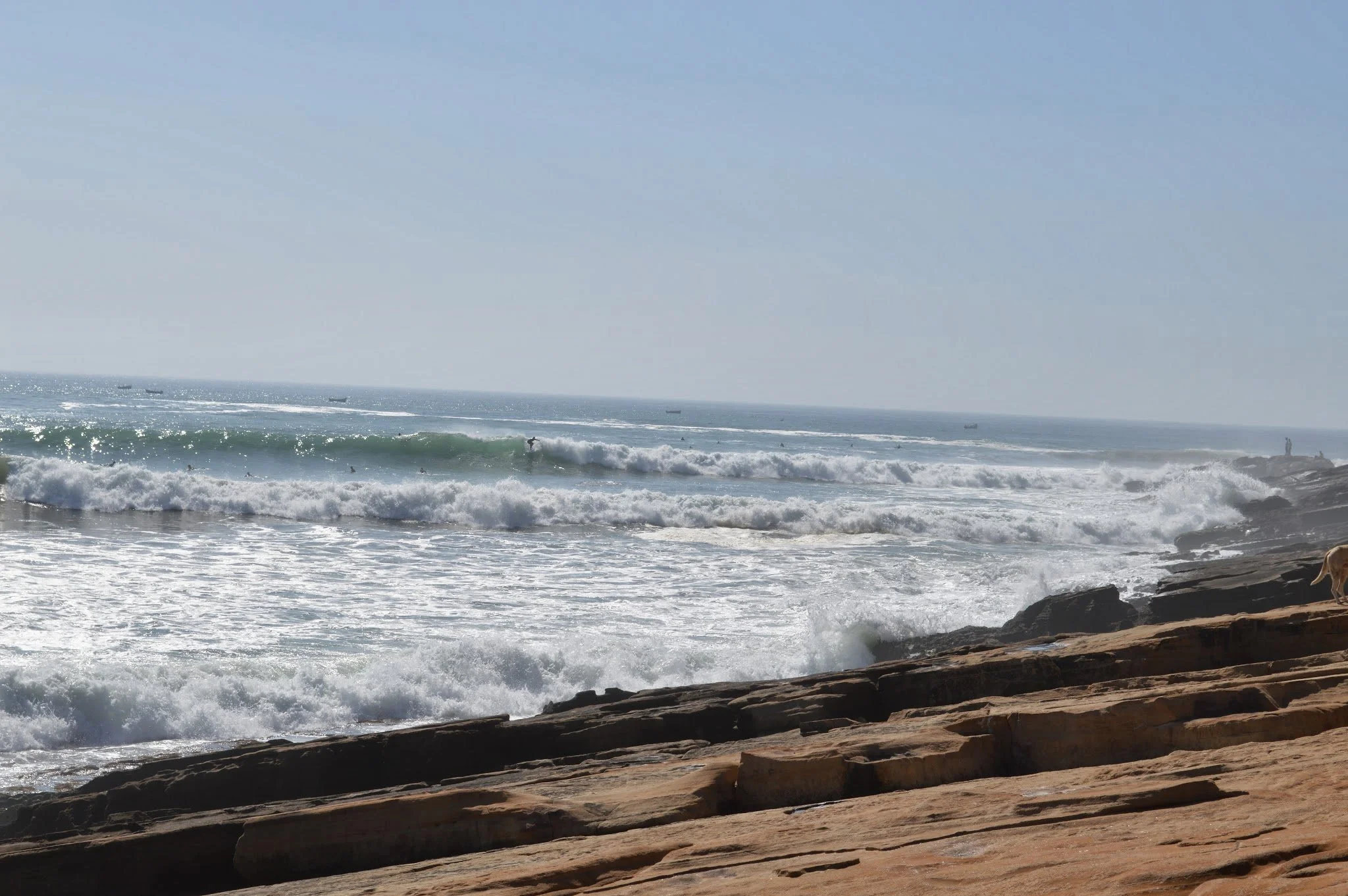 A scenic view of the ocean with waves crashing onto a rocky shore under a clear blue sky, with several boats visible in the water and a dog standing on the rocks.
