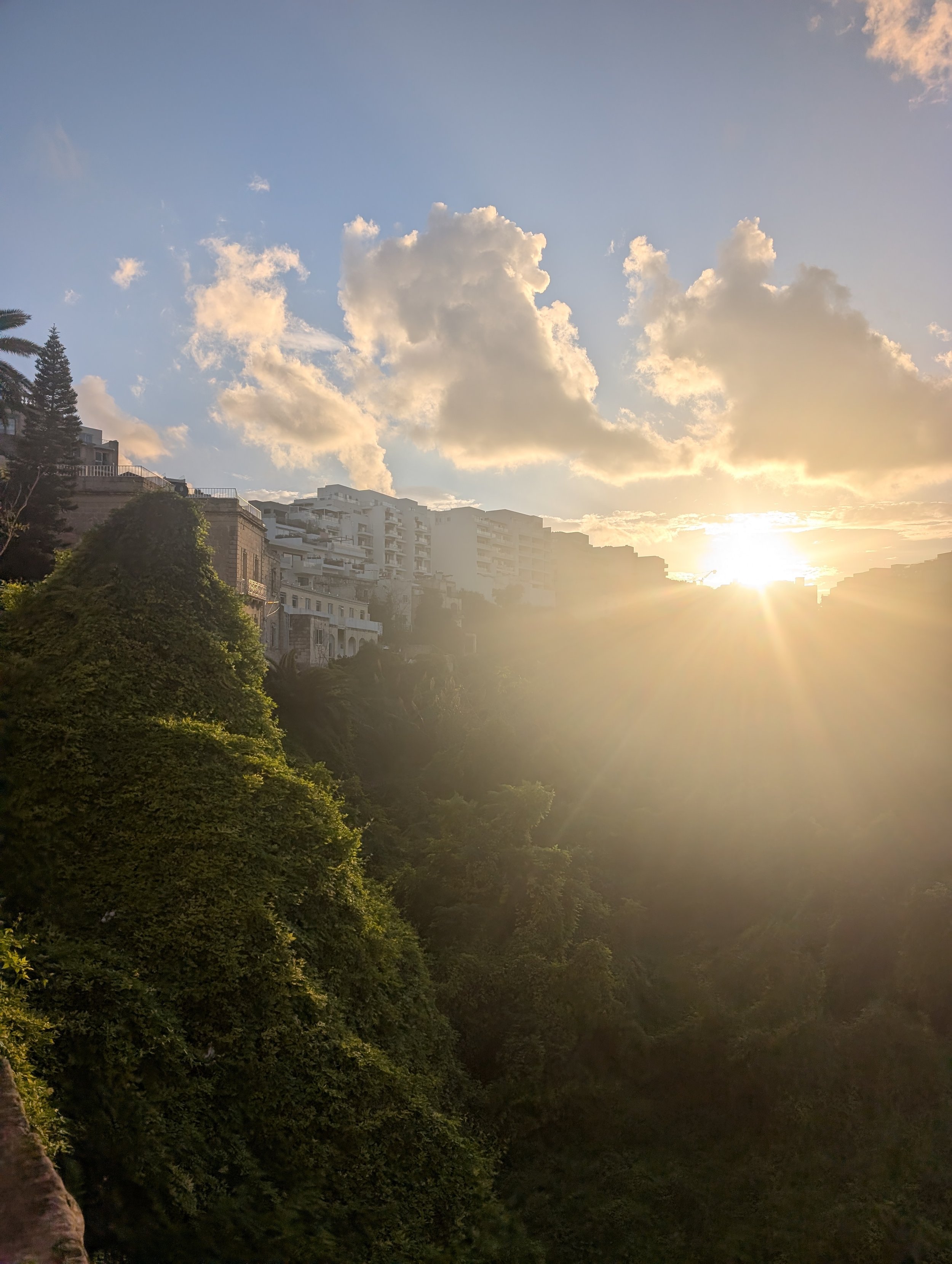 Sunset over a city with clouds in the sky, buildings in the background, and lush green trees in the foreground.