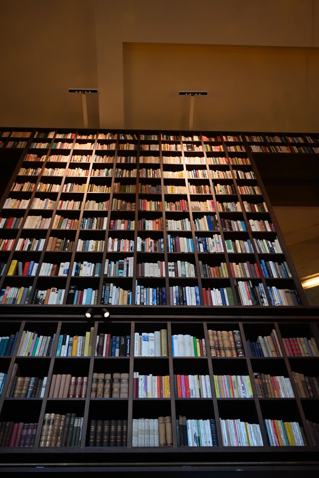 A tall bookshelf filled with numerous books in a library, reaching up to the ceiling with some lighting above.