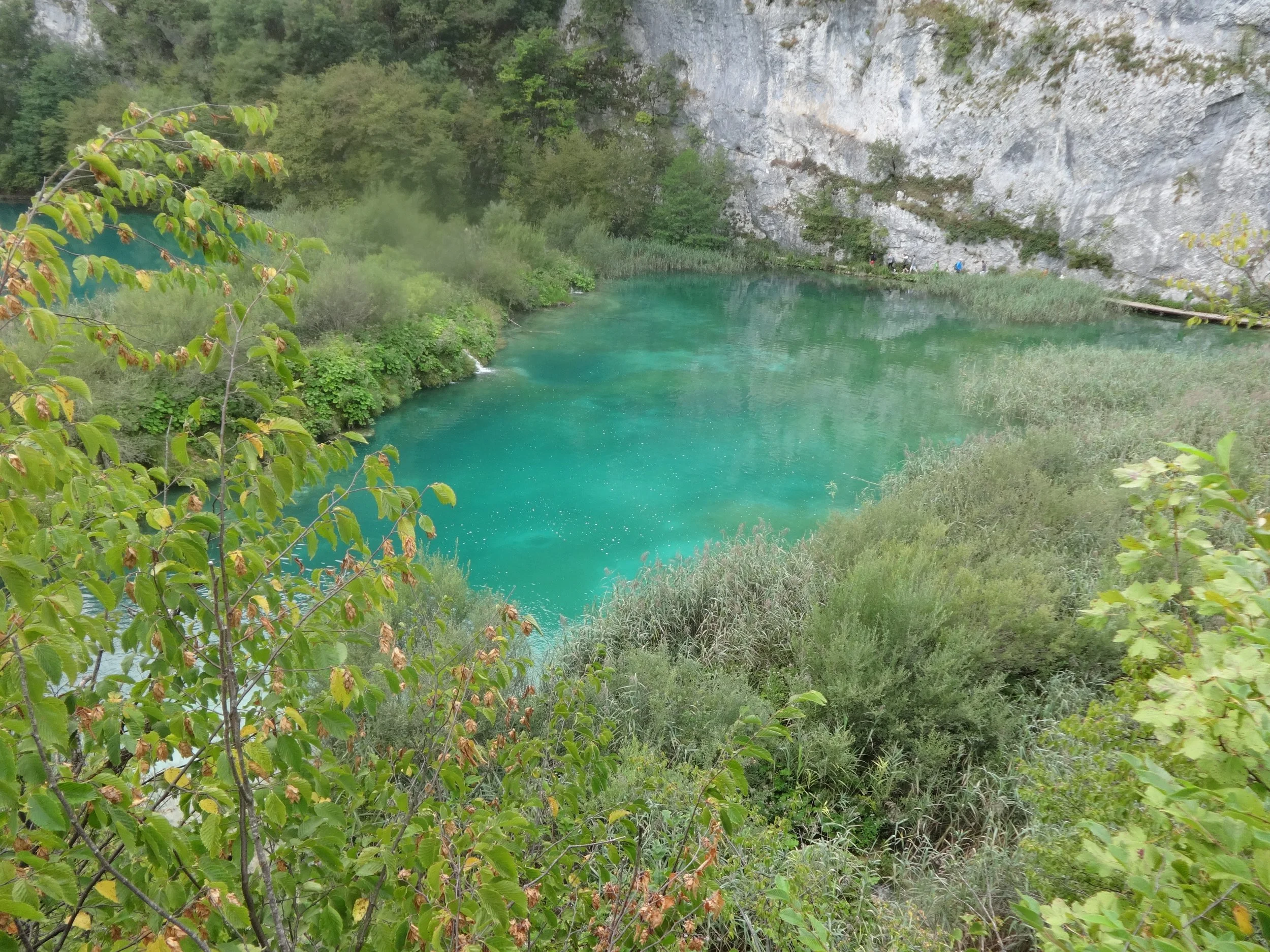 A lush green landscape featuring a calm, turquoise river bordered by dense vegetation and trees. In the background, there is a rocky cliff wall with a group of people walking along a narrow path.