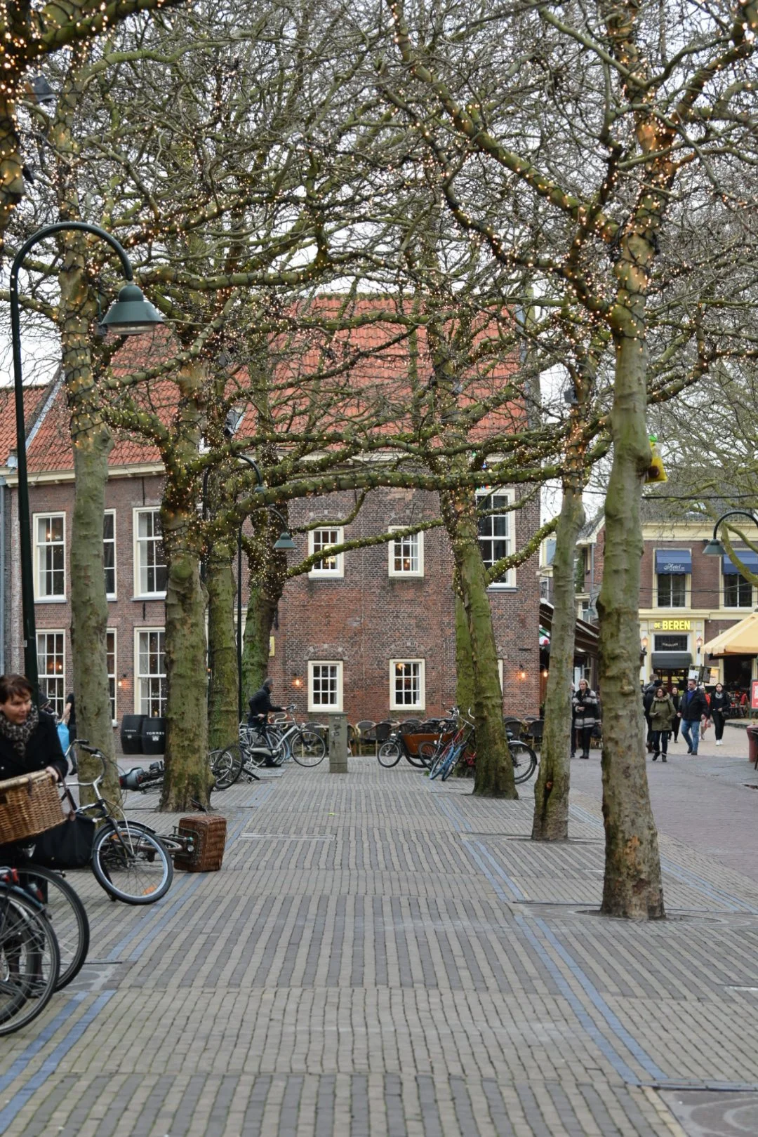 DSC_0089.JPG