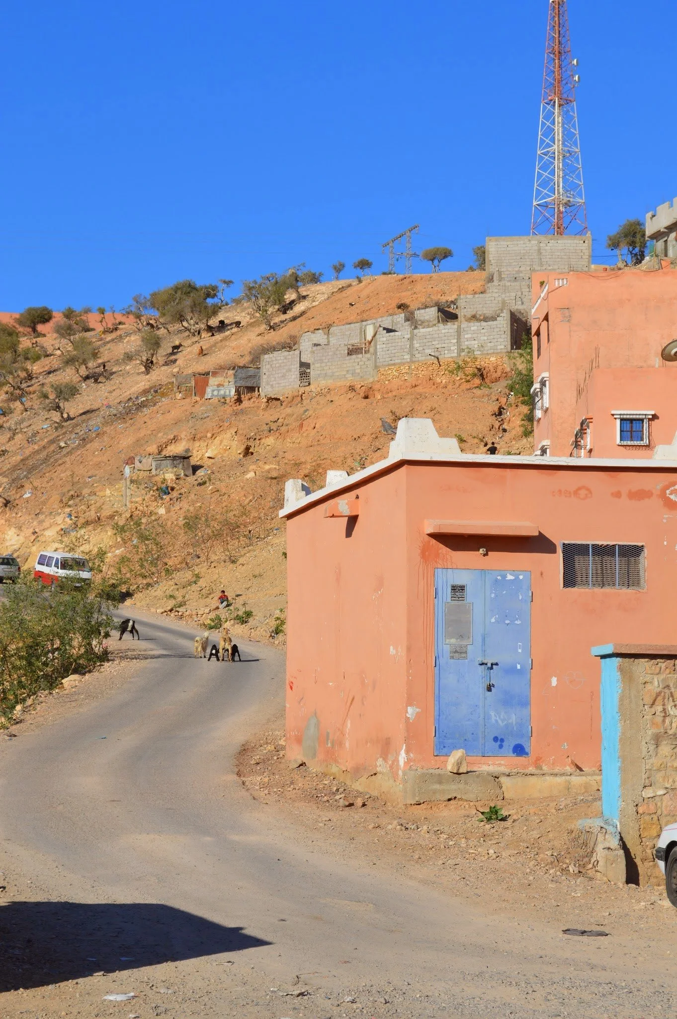 A dirt road with goats walking along it, leading through a desert-like area with sparse trees and buildings, hills in the background, and a blue sky overhead.