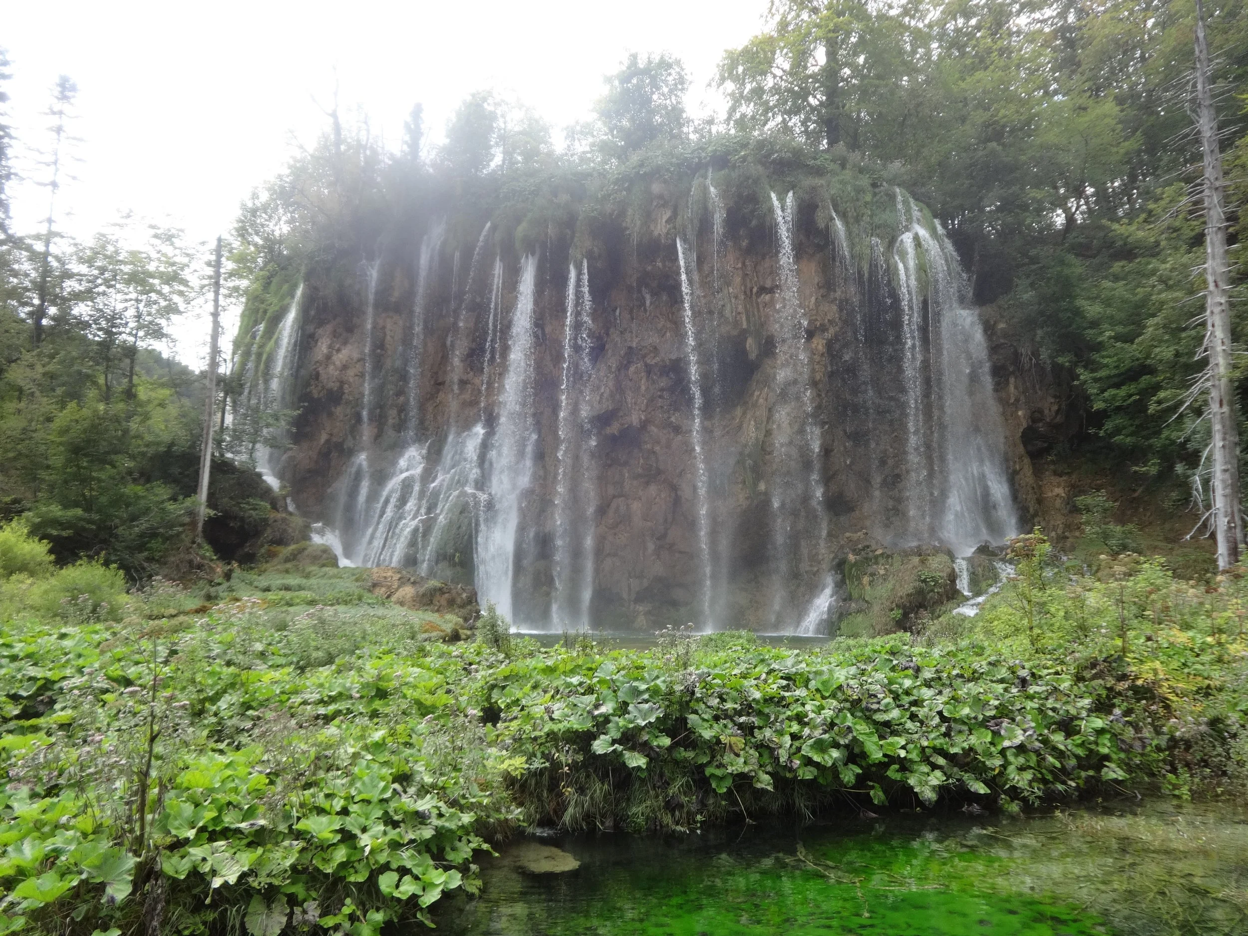 A waterfall cascading down a moss-covered rocky cliff surrounded by green trees and foliage, with a small body of water at the base.
