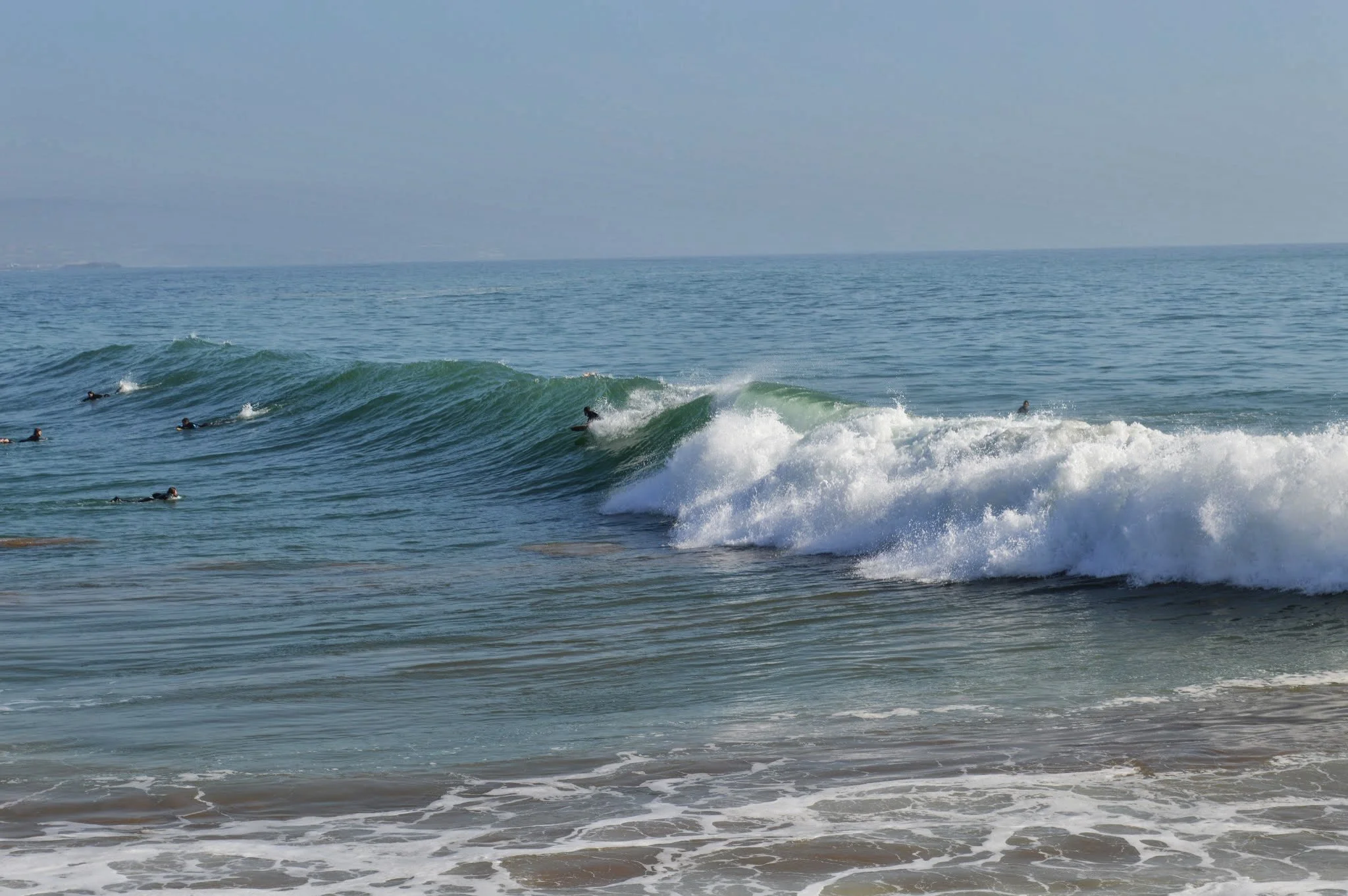 A group of surfers in wetsuits riding and waiting for waves near the shoreline at the beach.