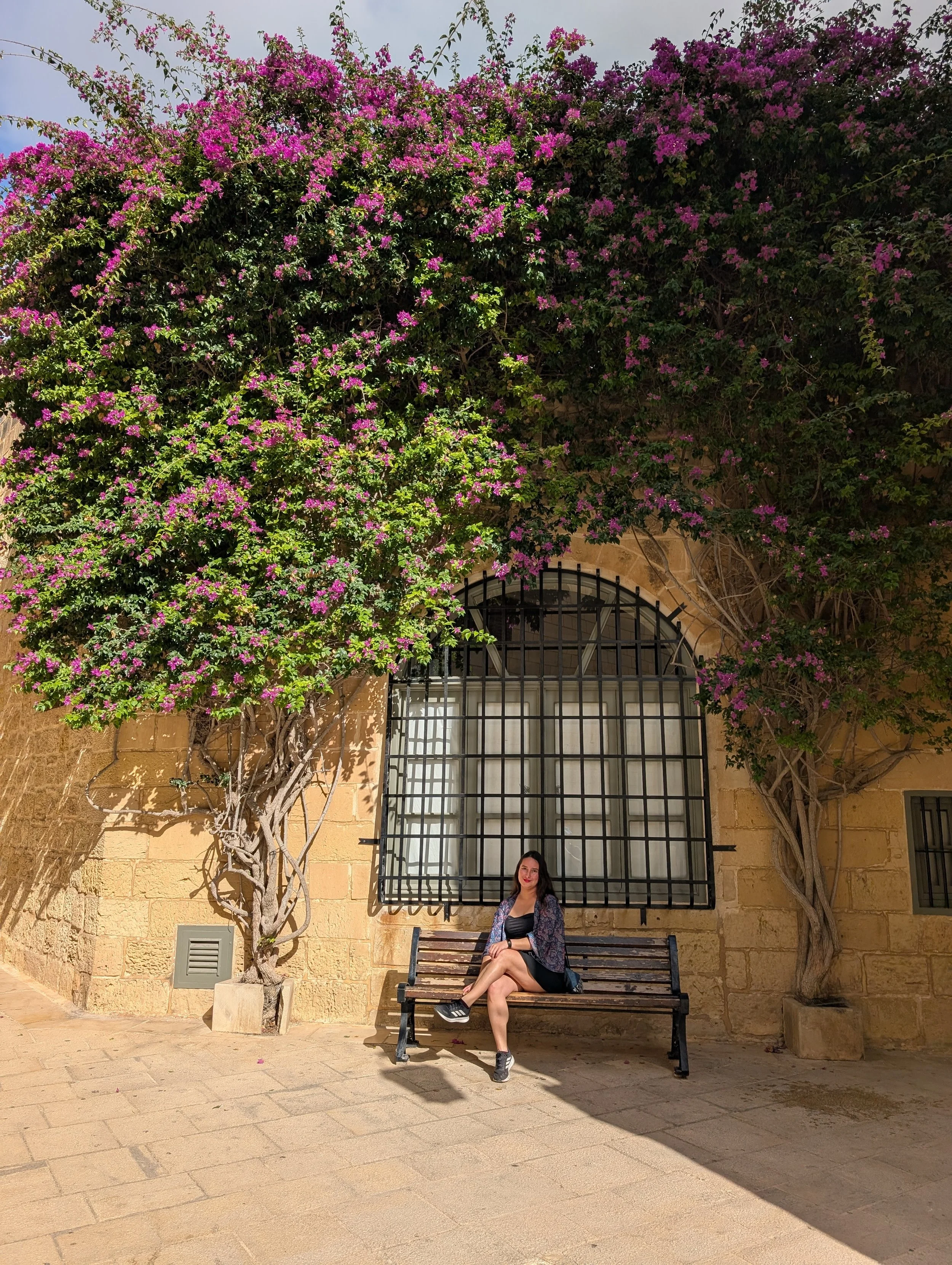 A woman sitting on a bench in front of a yellow brick wall with purple flowering vines and trees, and a barred window behind her.