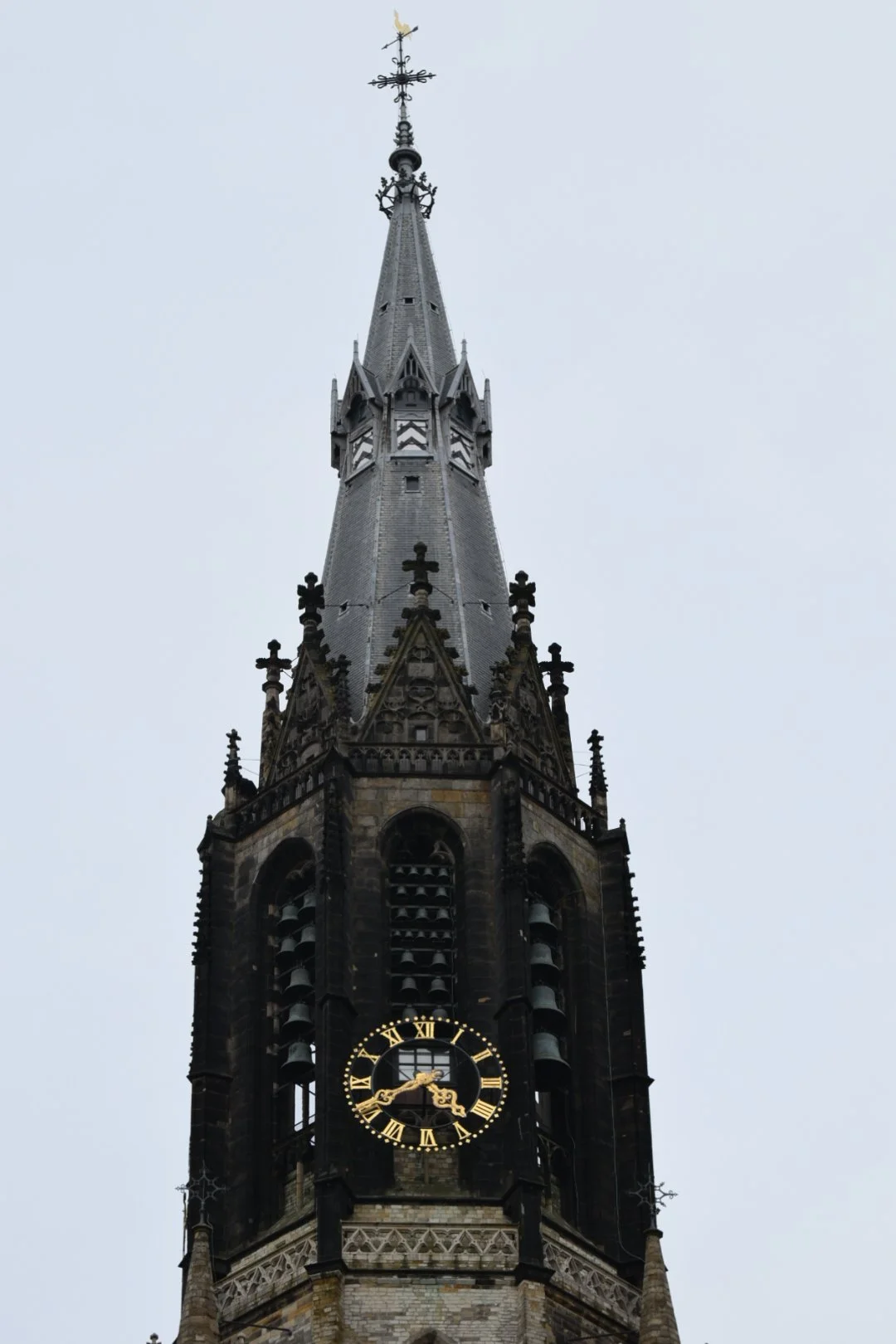 DSC_0082.JPG