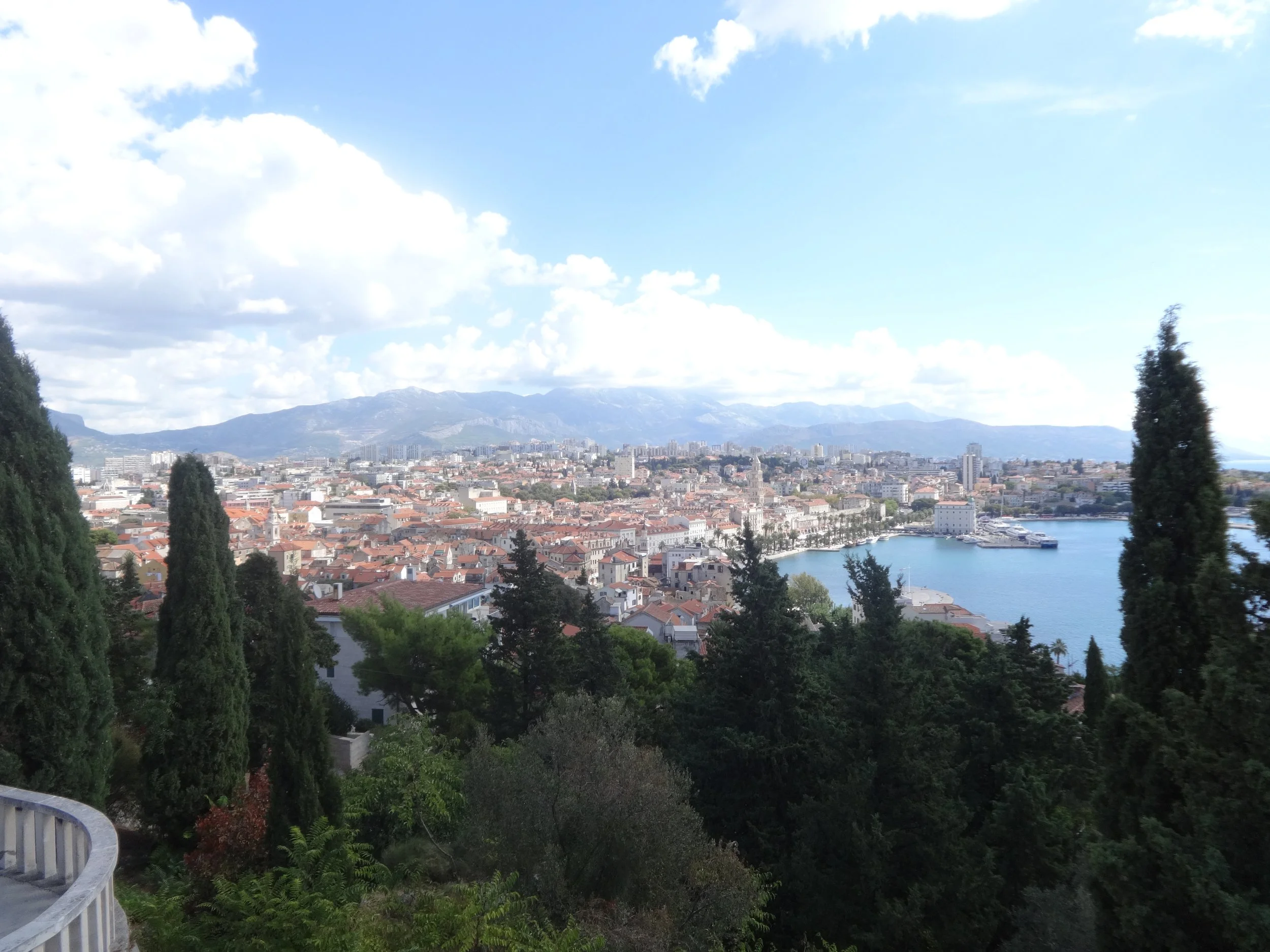 A city skyline viewed from a hillside with tall trees, a body of water, mountains in the background, and a partly cloudy sky.