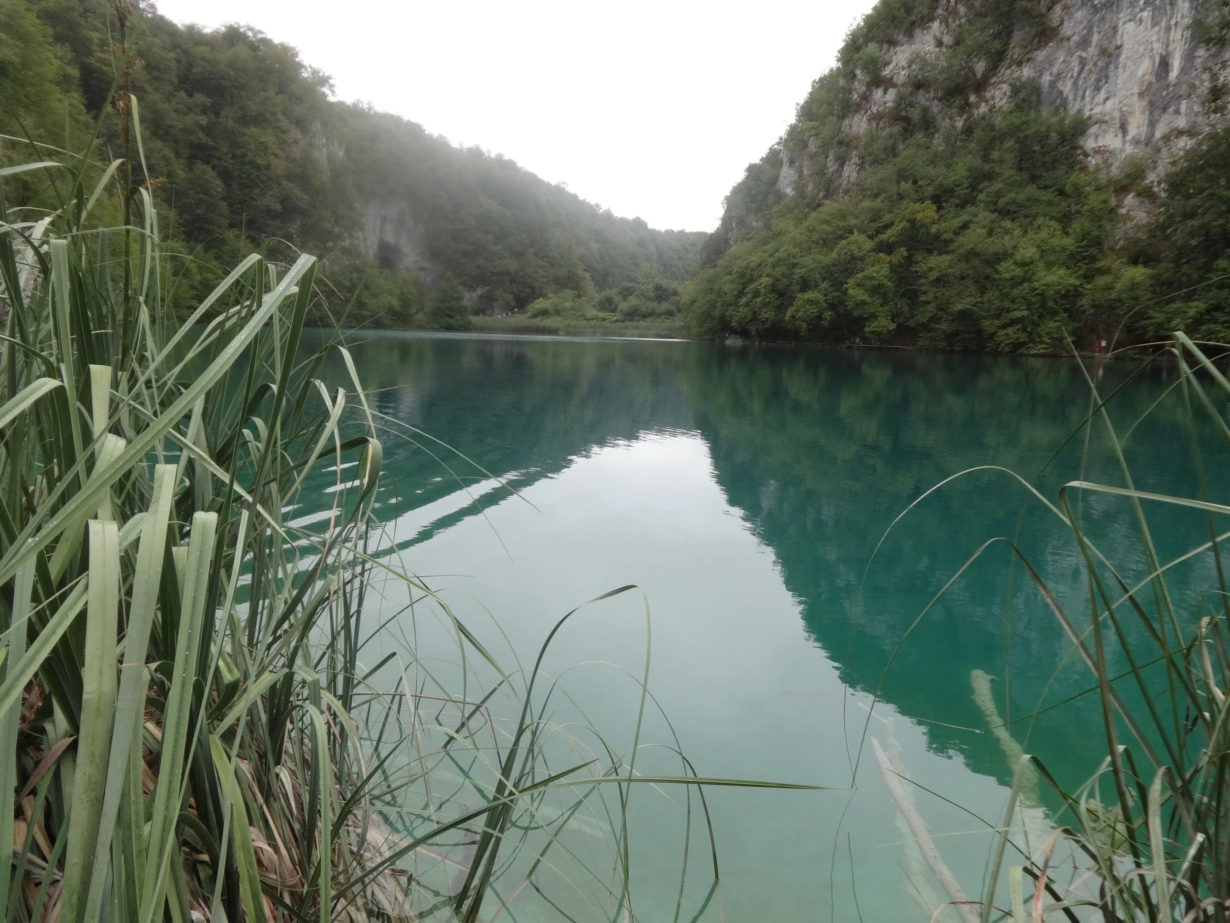 A serene river or lake surrounded by lush green trees on steep rocky hills, with tall grass in the foreground and fog or mist in the distance.