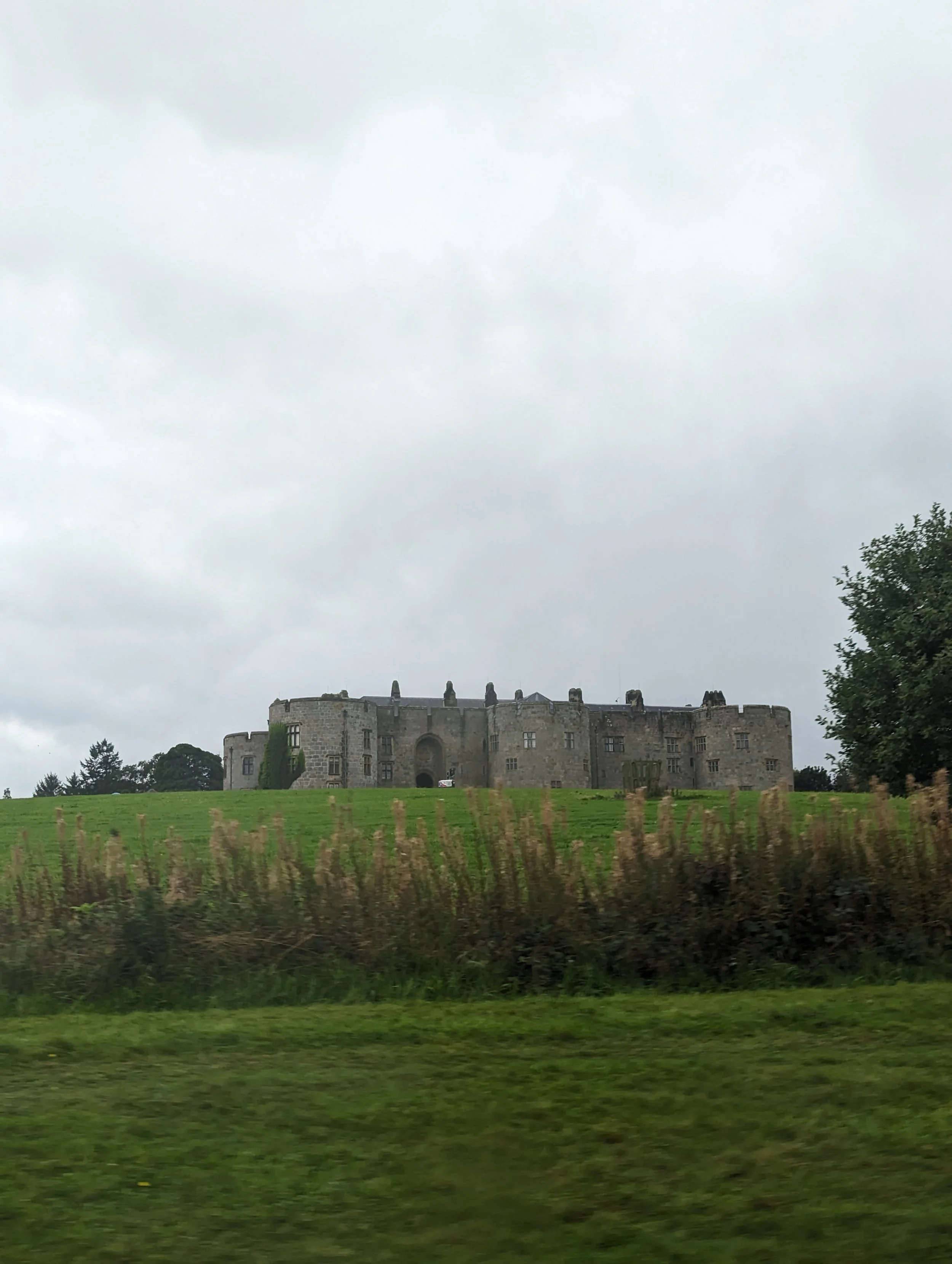 A historic stone castle with towers and battlements, situated on a grassy hill under a cloudy sky, with trees and foliage around.