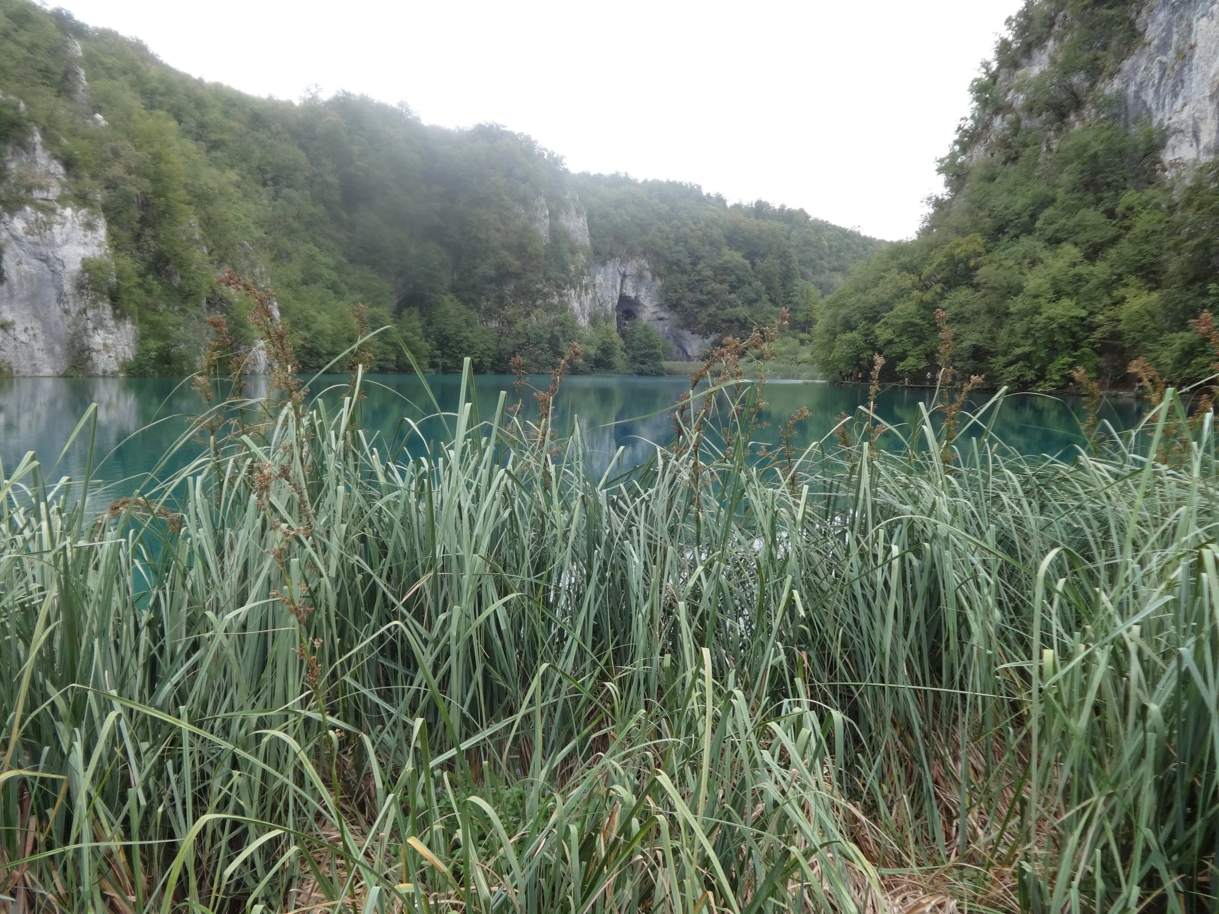A serene landscape with a calm, clear river flowing through a lush green forest surrounded by tall hills or mountains with rocky cliffs. Tall grasses in the foreground.