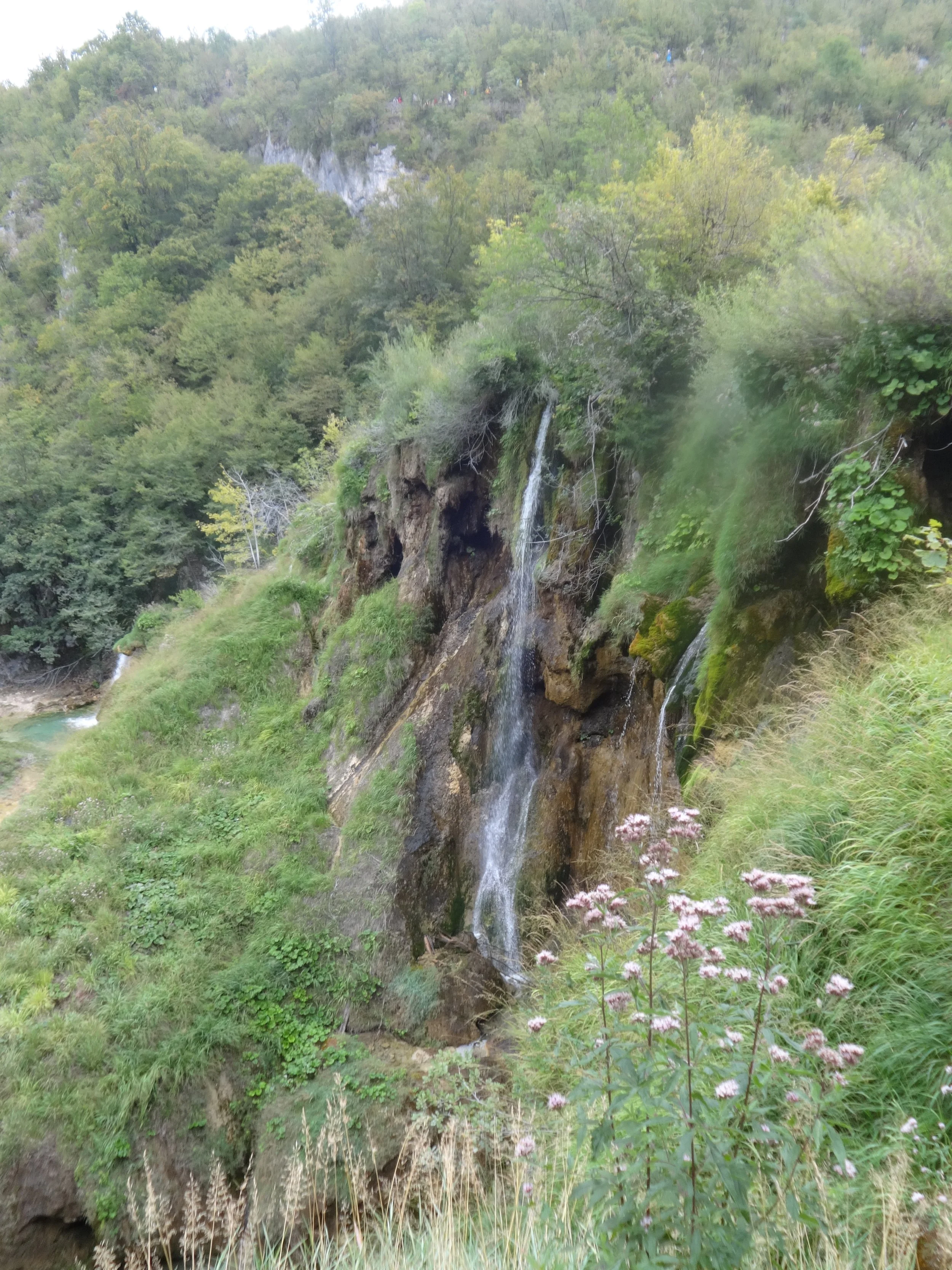 A small waterfall cascading down a rocky cliff into a lush green landscape with trees and grass.