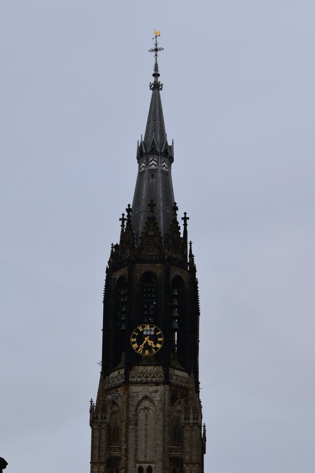 DSC_0077.JPG