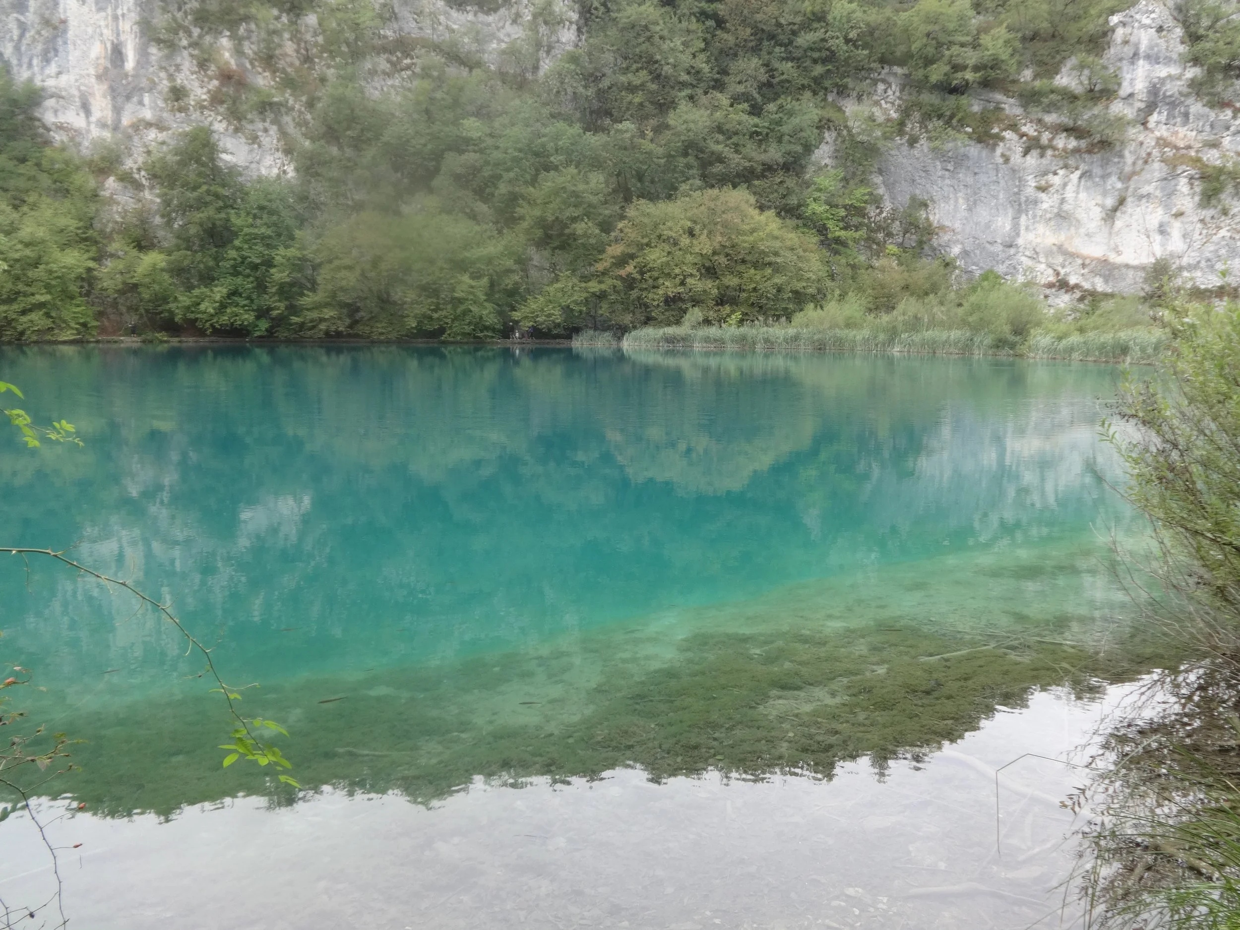 A scenic view of a turquoise lake surrounded by green trees and gray rocky cliffs.