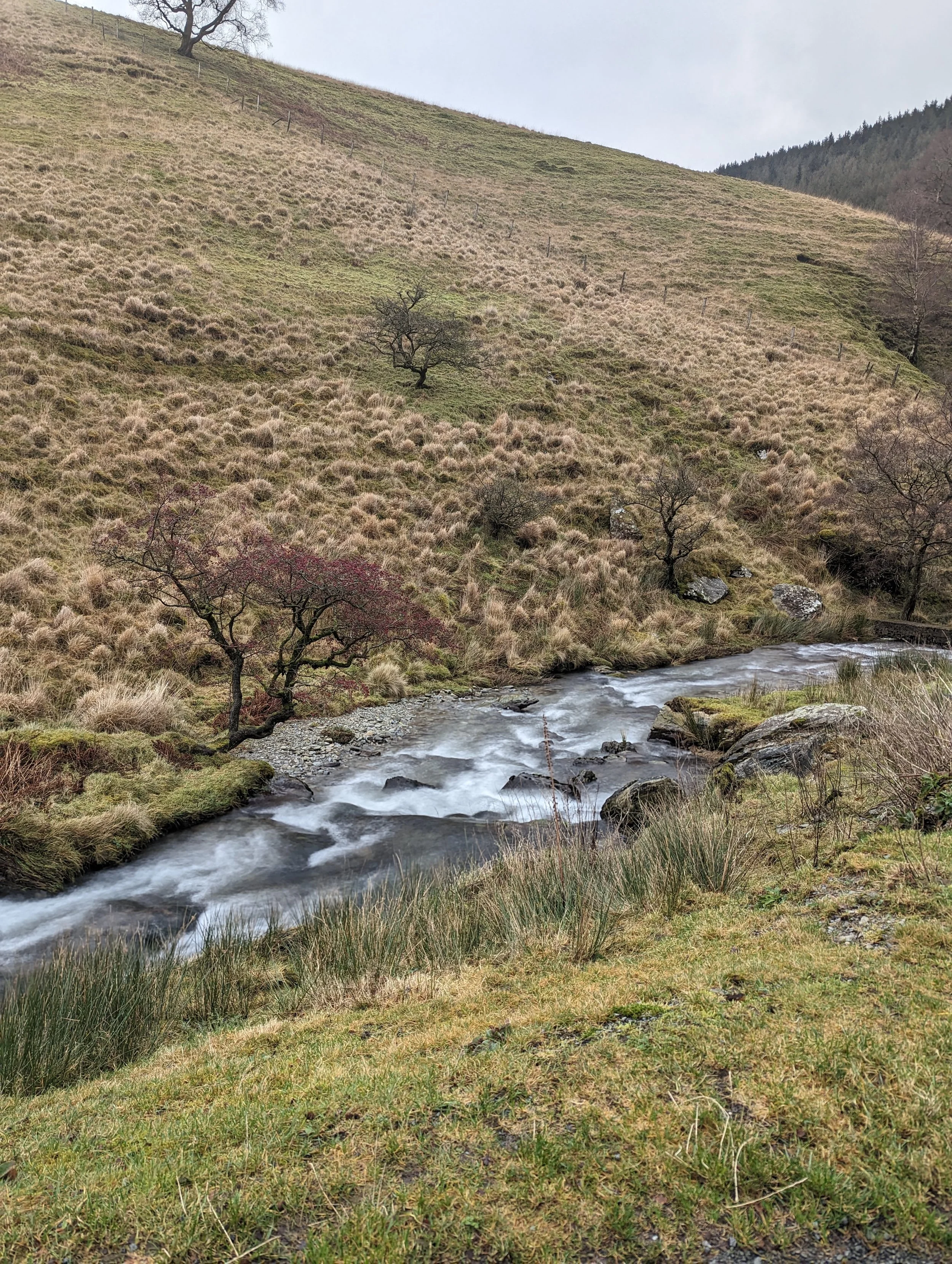 A hillside landscape with dry grass, scattered trees, rocks, and a small river flowing through the foreground under an overcast sky.