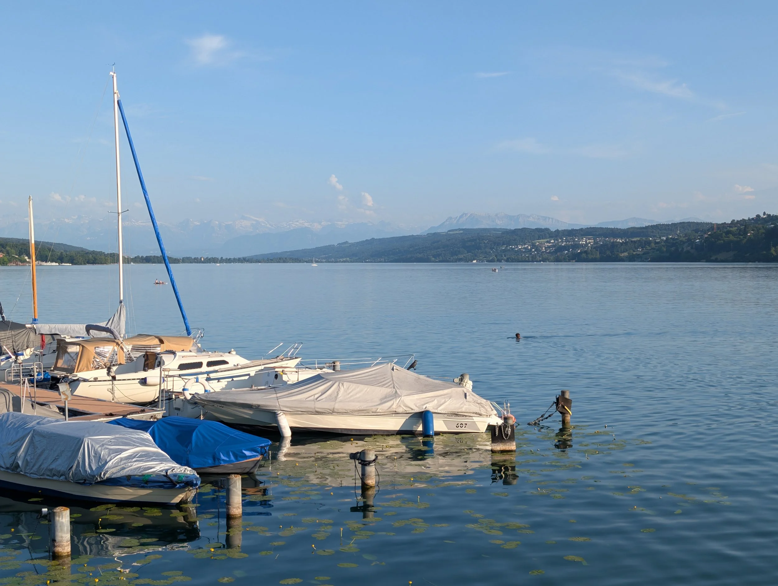 Boats docked at a marina on a calm lake with mountains in the background