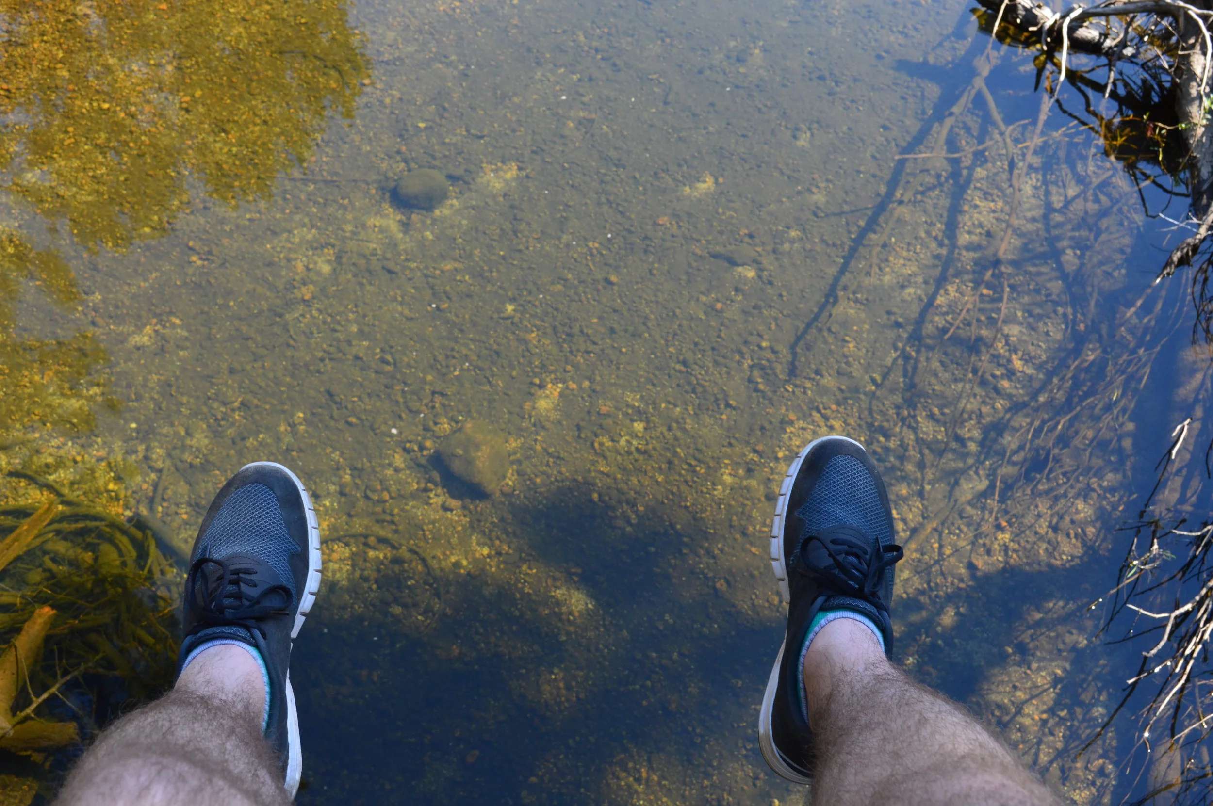 2014-08-20 10.40.44.jpg