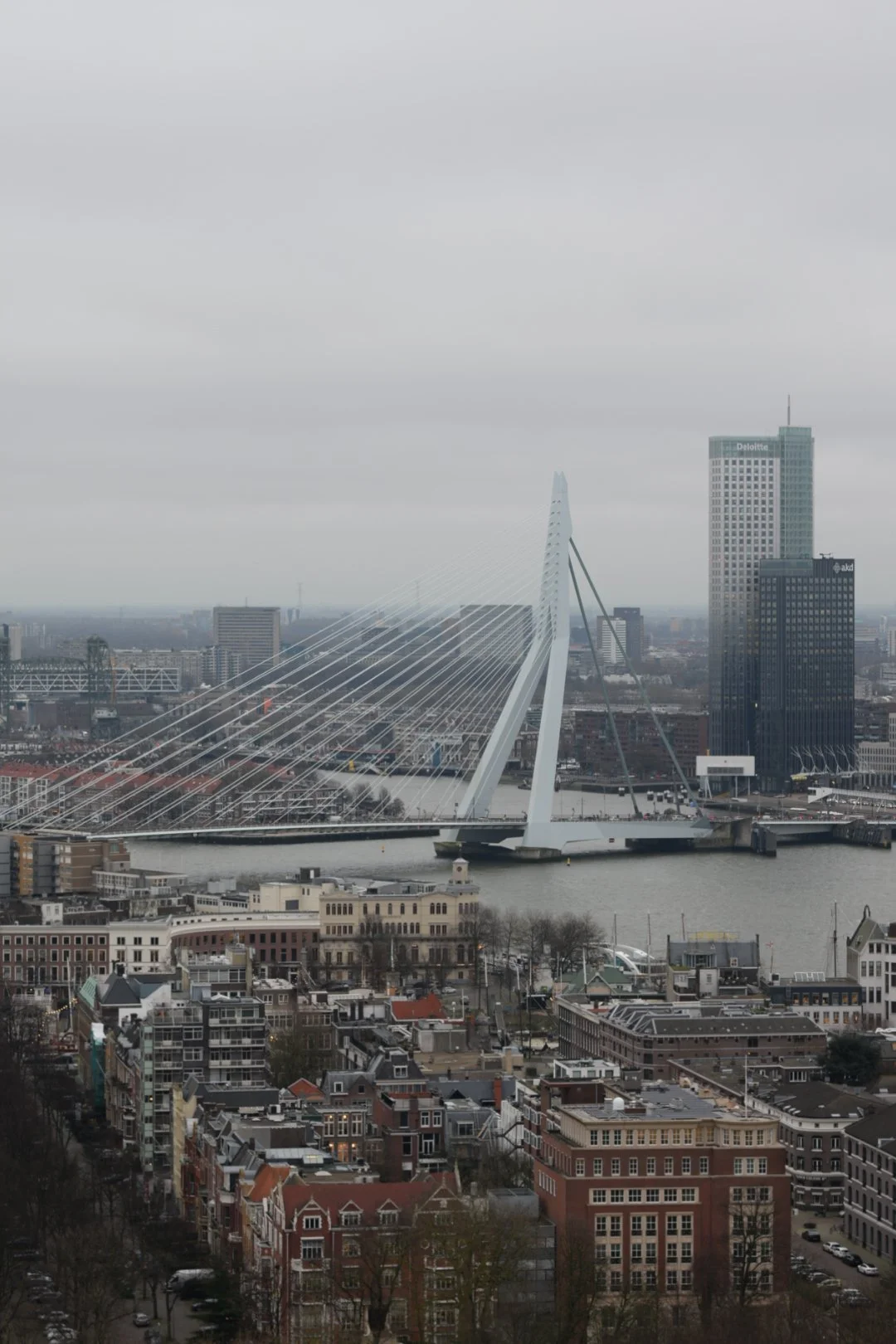 DSC_0021.JPG