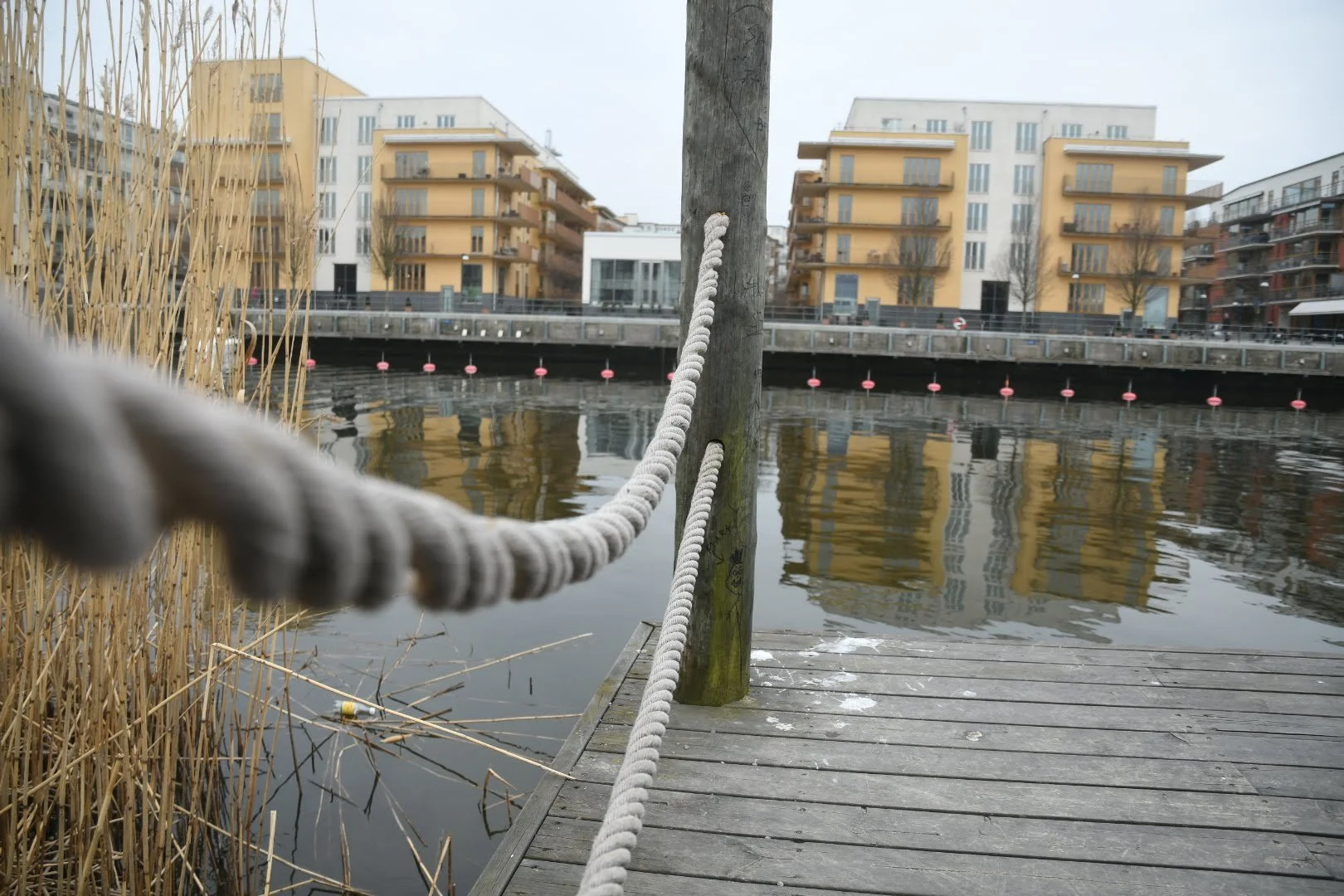 A wooden dock by a waterway with a thick rope tied to a pole, with modern apartment buildings across the water reflecting in the water, and some reeds on the left side of the image.
