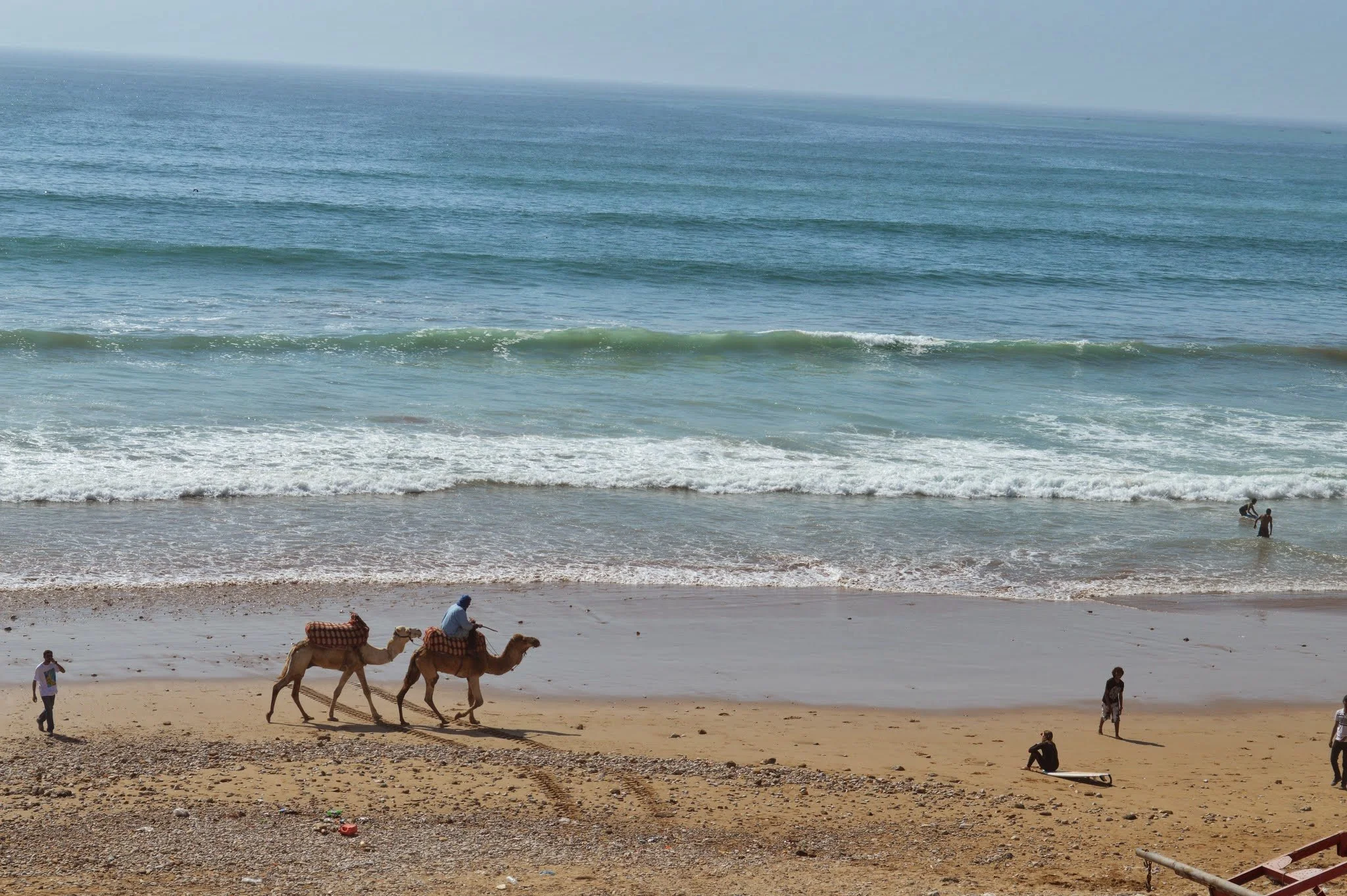 A beach scene with several people and camels walking along the sandy shore, and the ocean waves in the background under a clear sky.