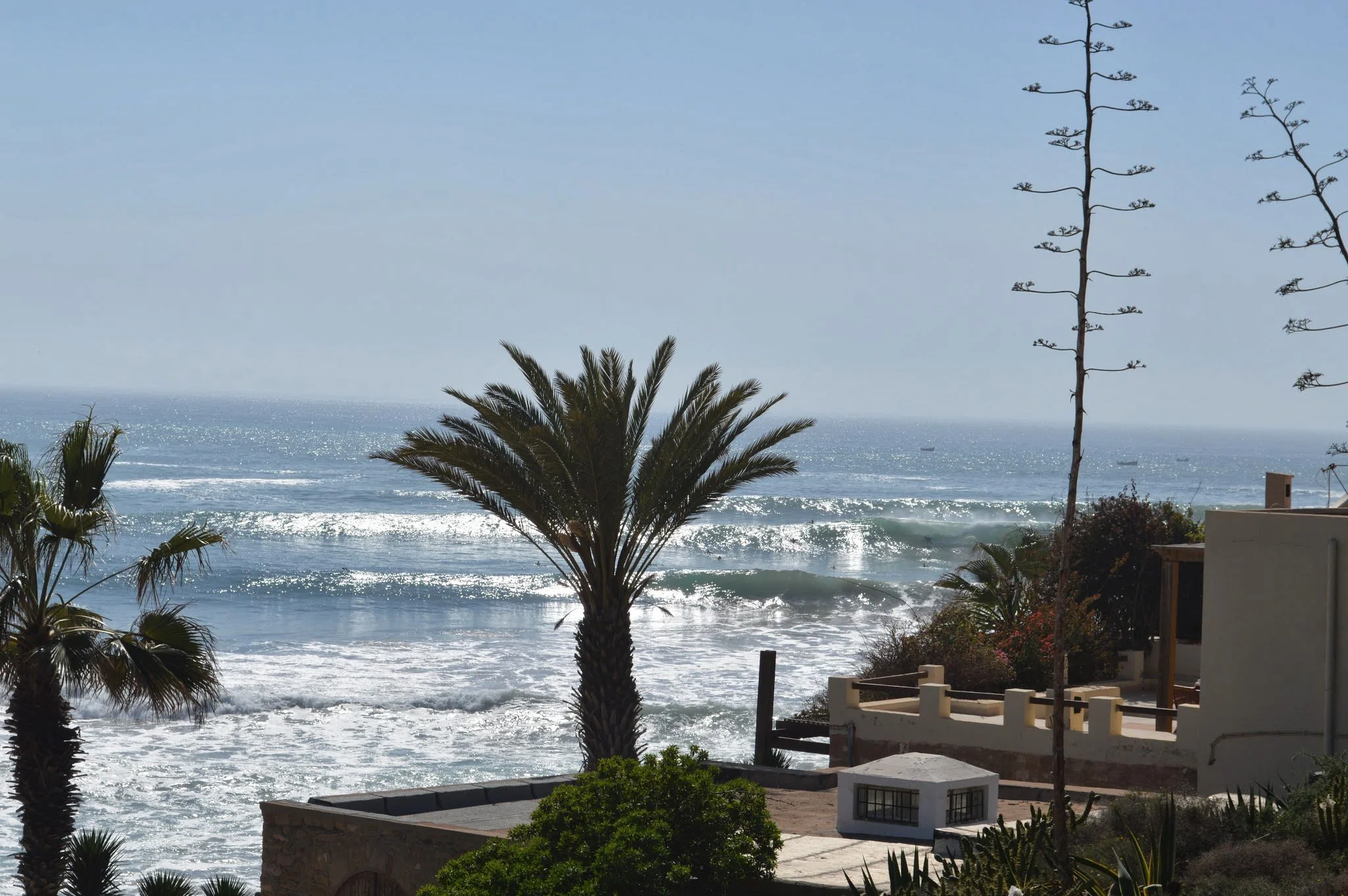 View of the ocean with waves, a sandy beach, and palm trees, under a clear blue sky.