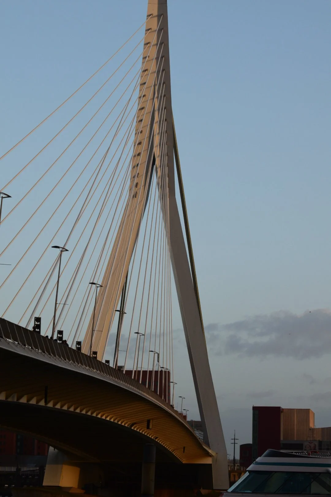 DSC_0093.JPG