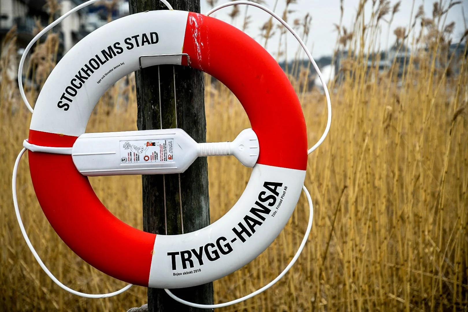 A life preserver with Swedish text hanging on a wooden post, with tall yellow reeds and a blurred background of buildings and sky.