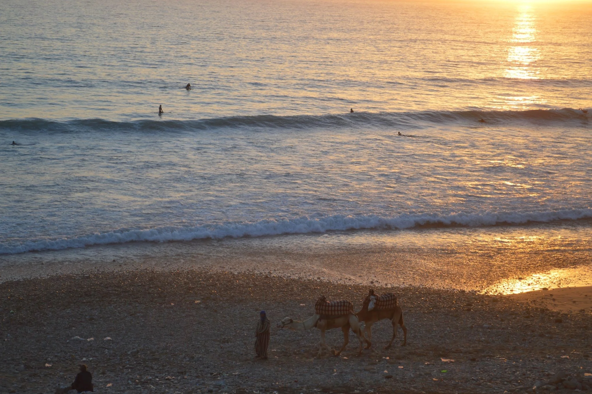 Sunset over the ocean with several people surfing and a few camels on the beach.