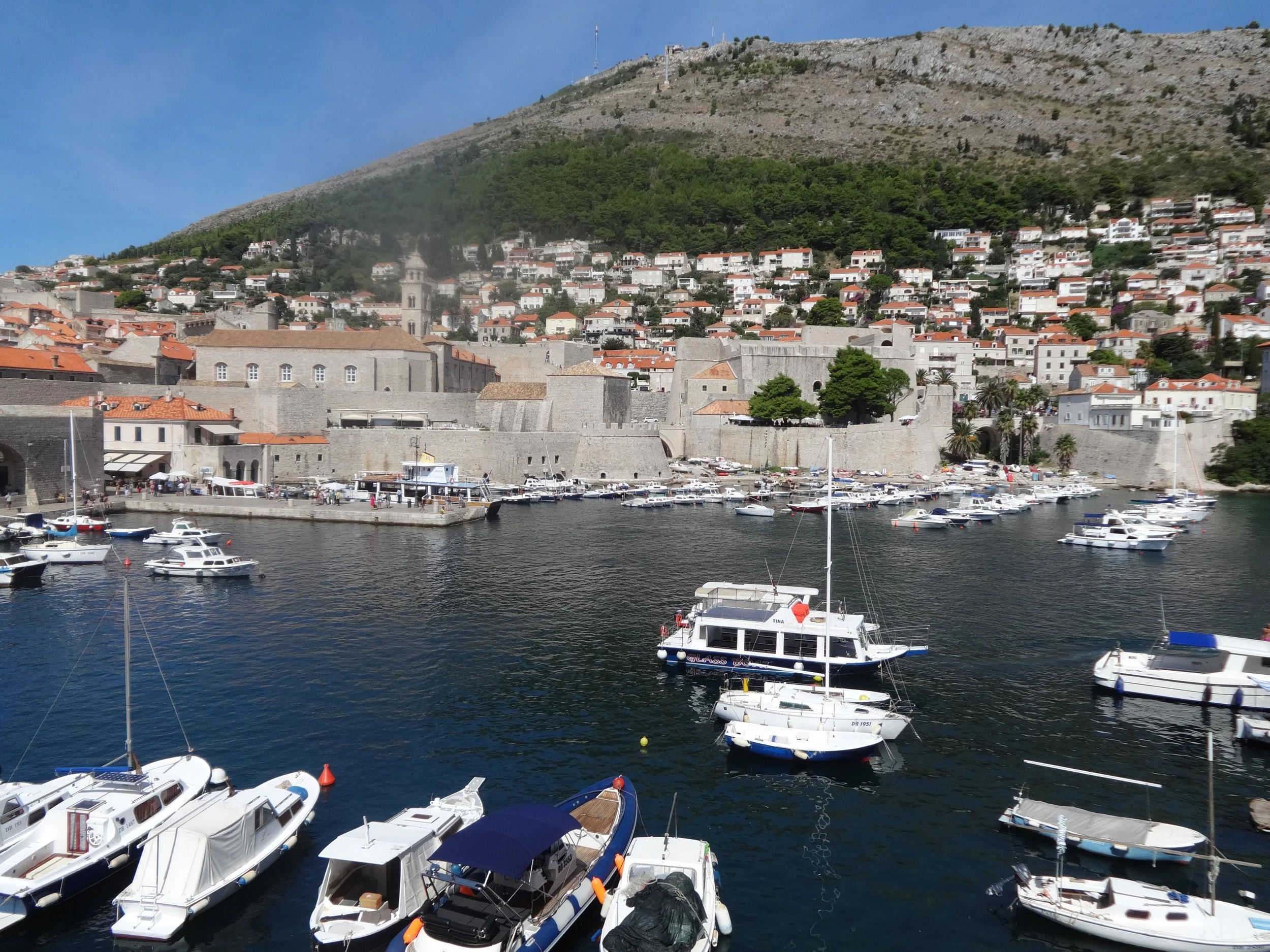 View of a coastal city with boats docked in the harbor and a hillside with buildings and trees in the background.