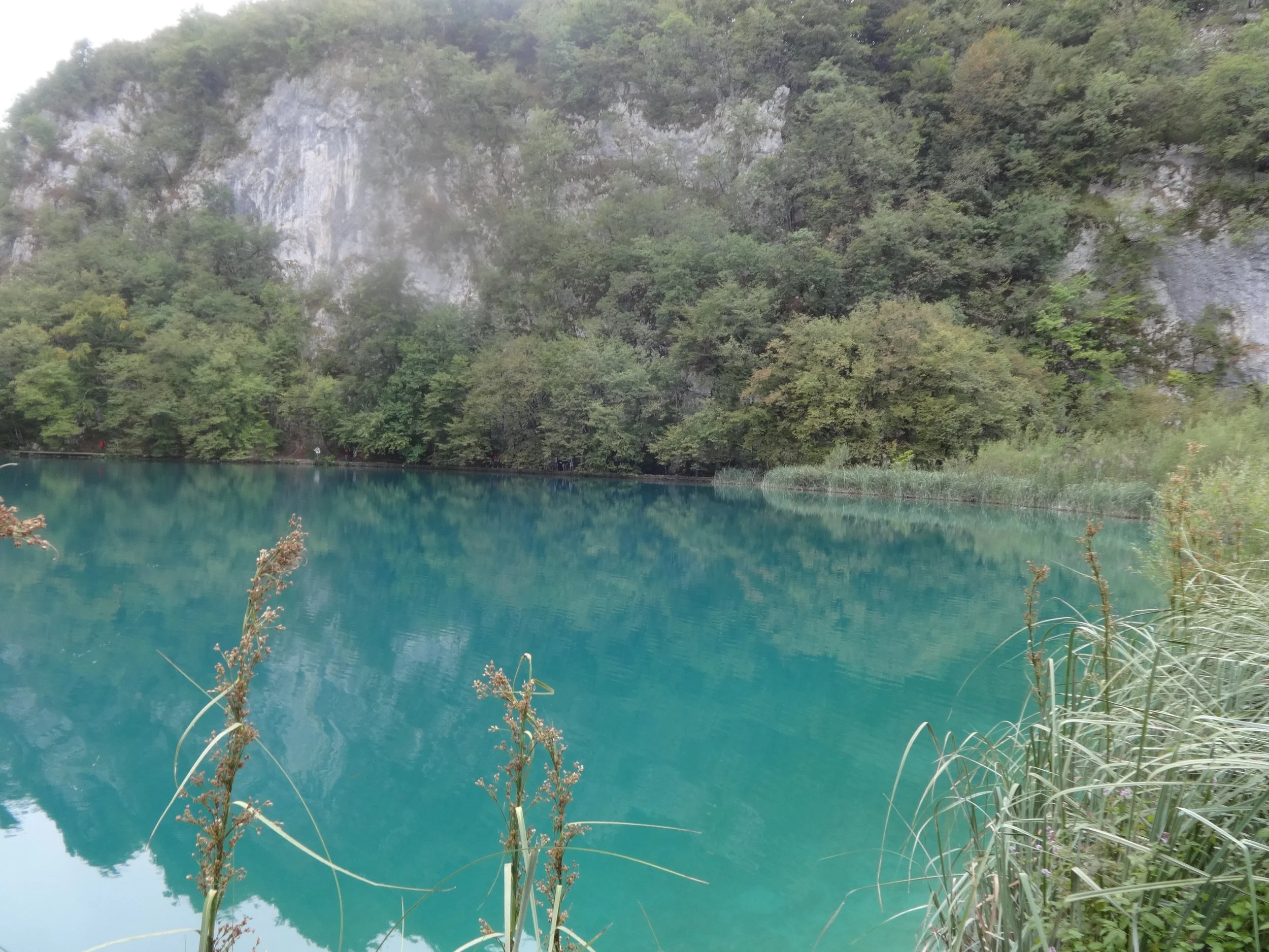 A tranquil turquoise lake surrounded by lush green trees and forested hills in the background.