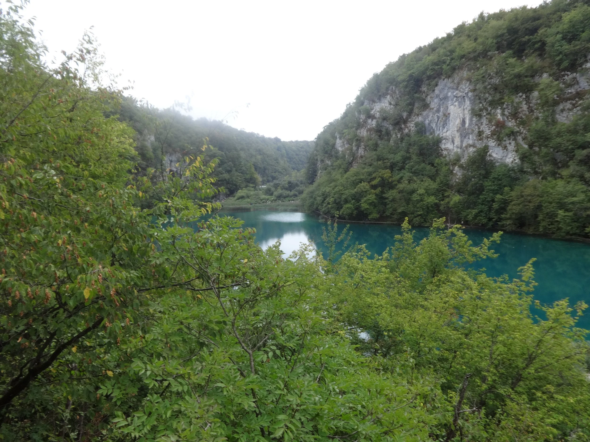 A scenic view of a river through green trees and rocky cliffs with overcast sky.