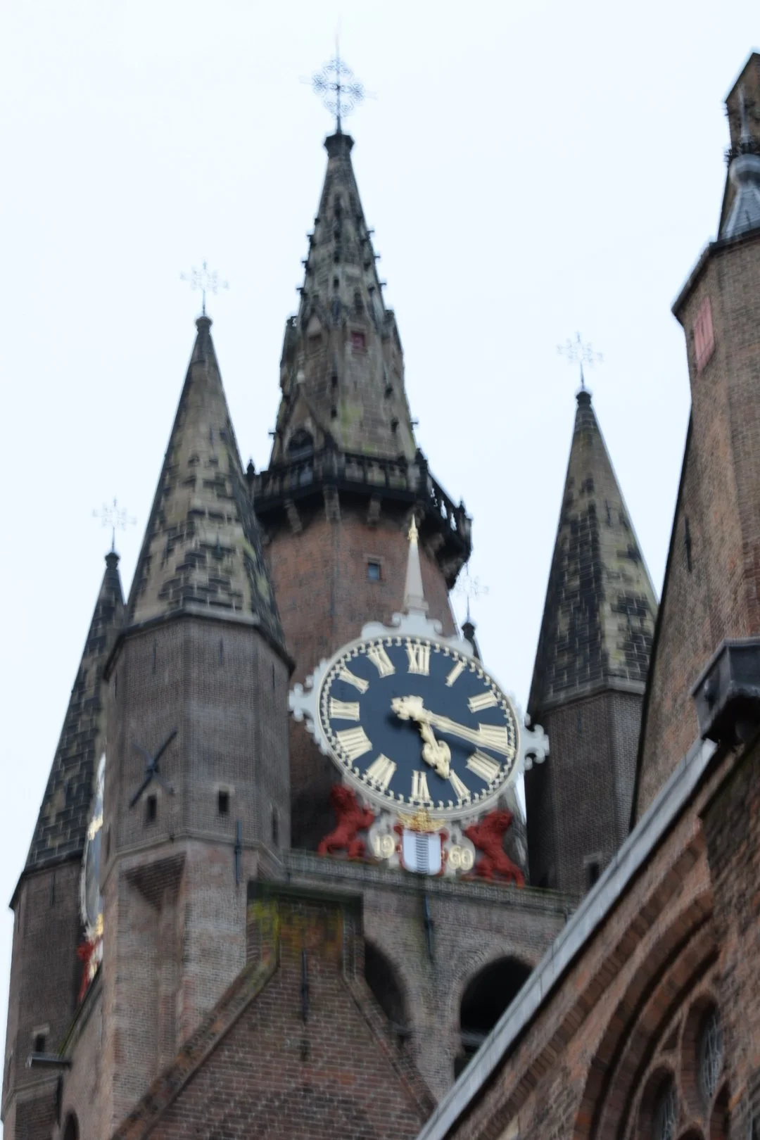 DSC_0124.JPG