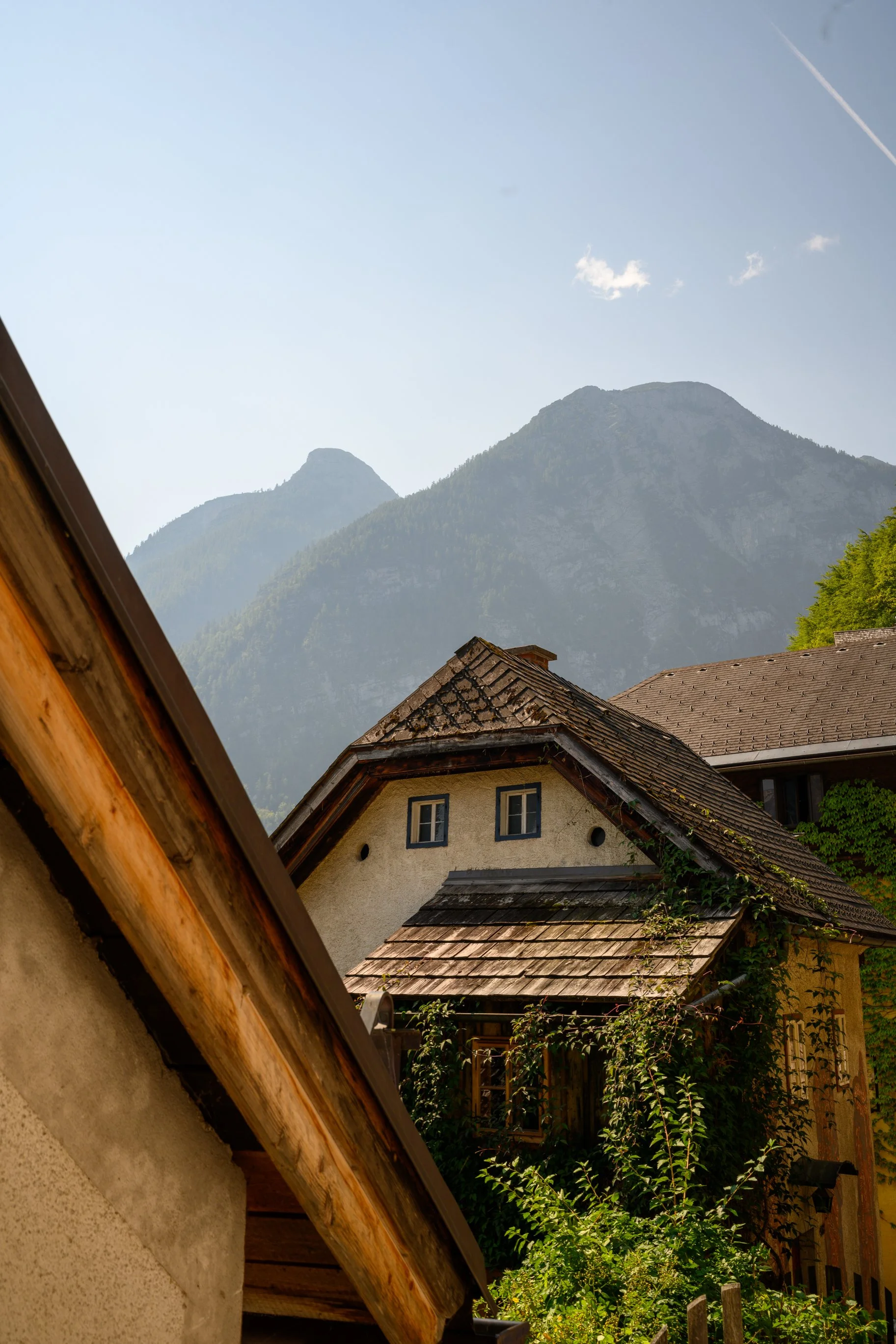 untitled-55Sunday.JPG