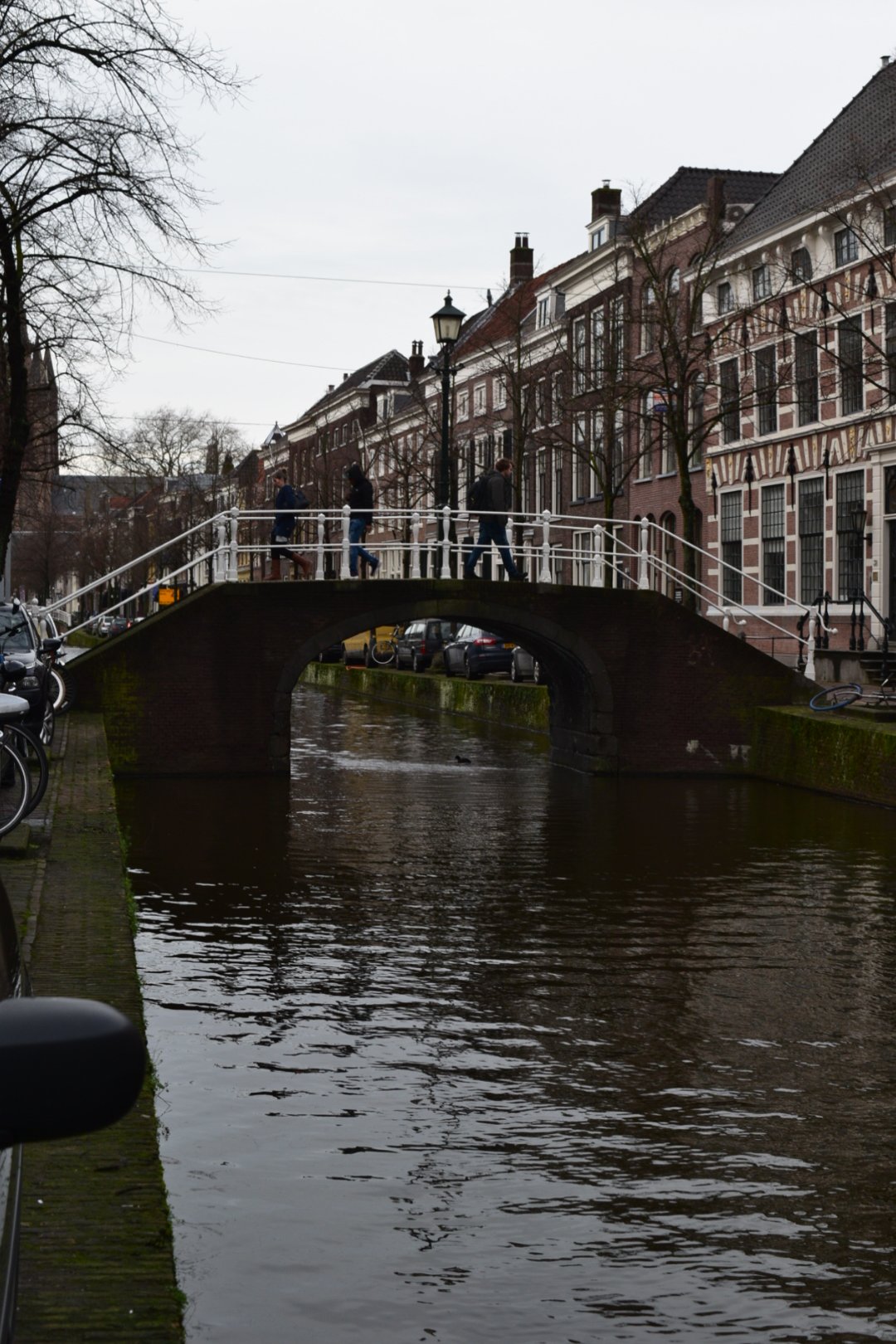 DSC_0054.JPG