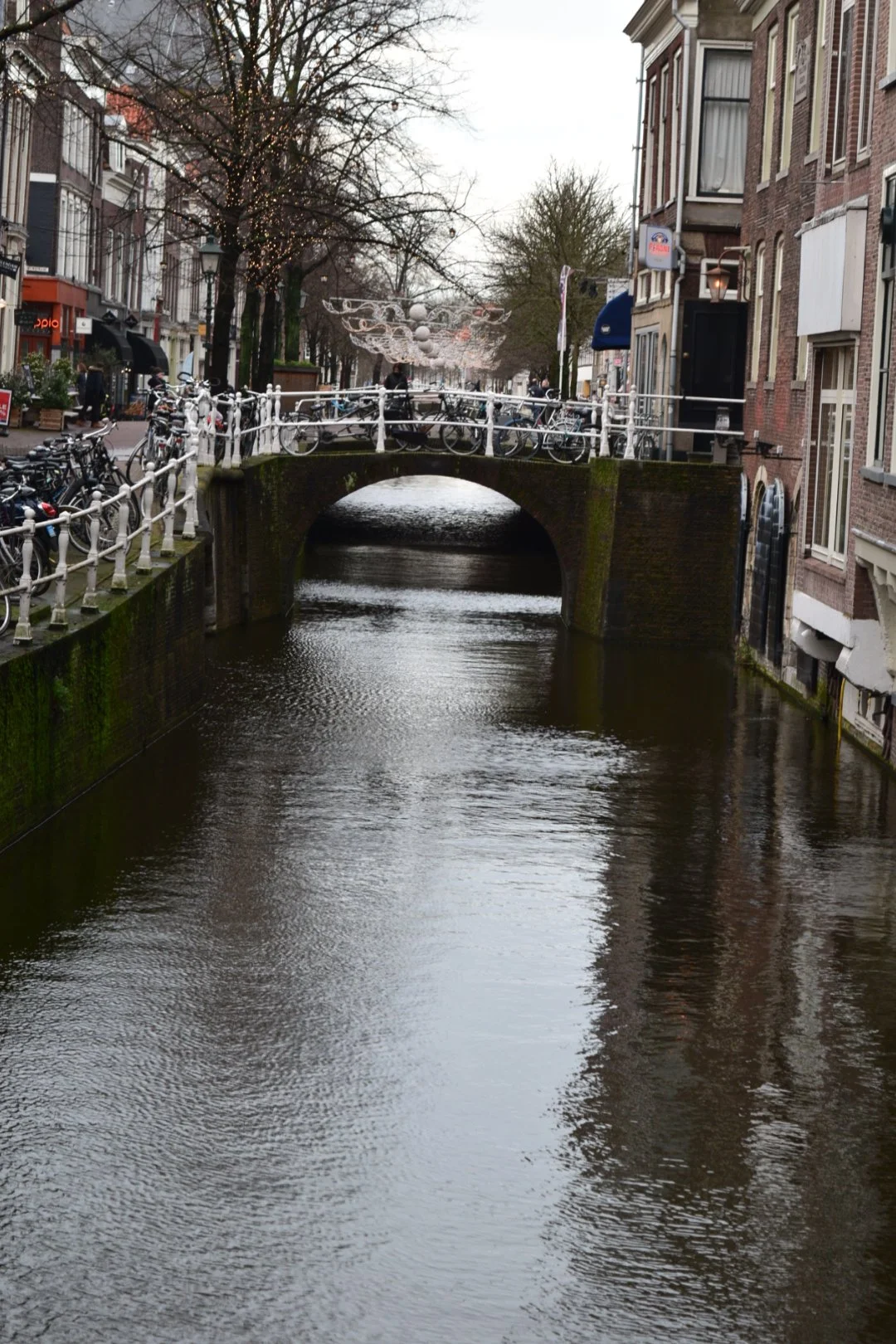 DSC_0069.JPG
