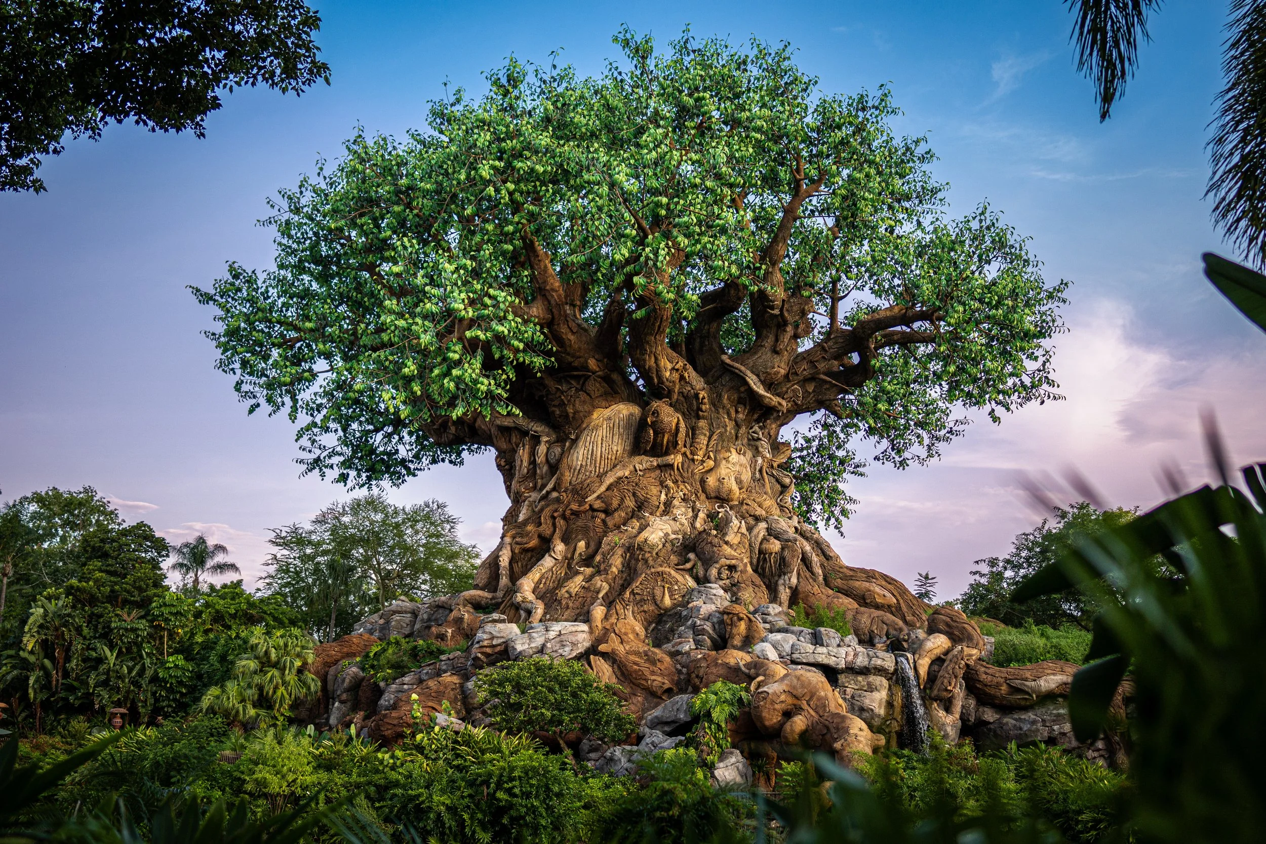 Discover the Magic of Disney's Animal Kingdom: Essential Tips 